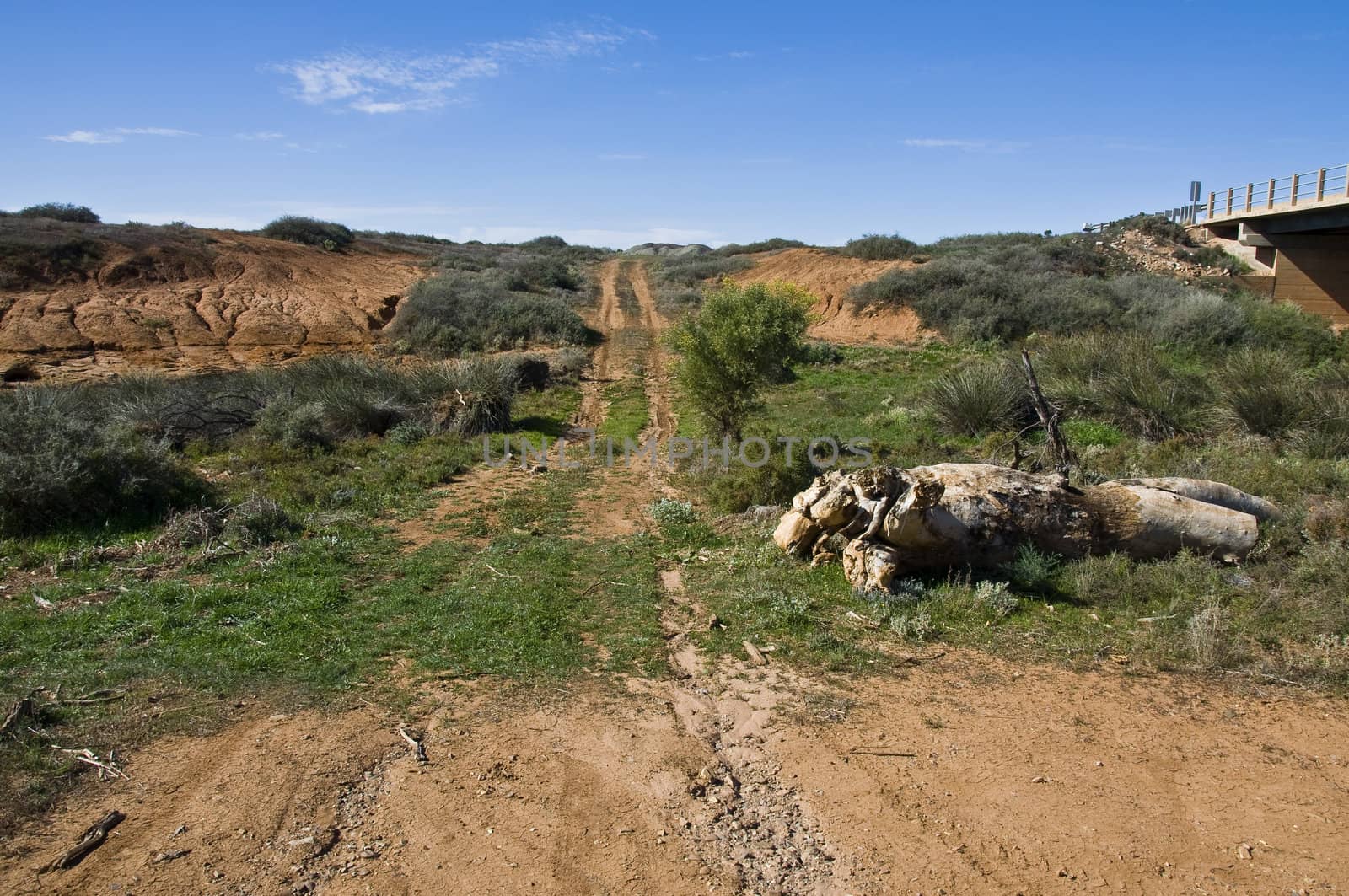 landscape in the australian outback