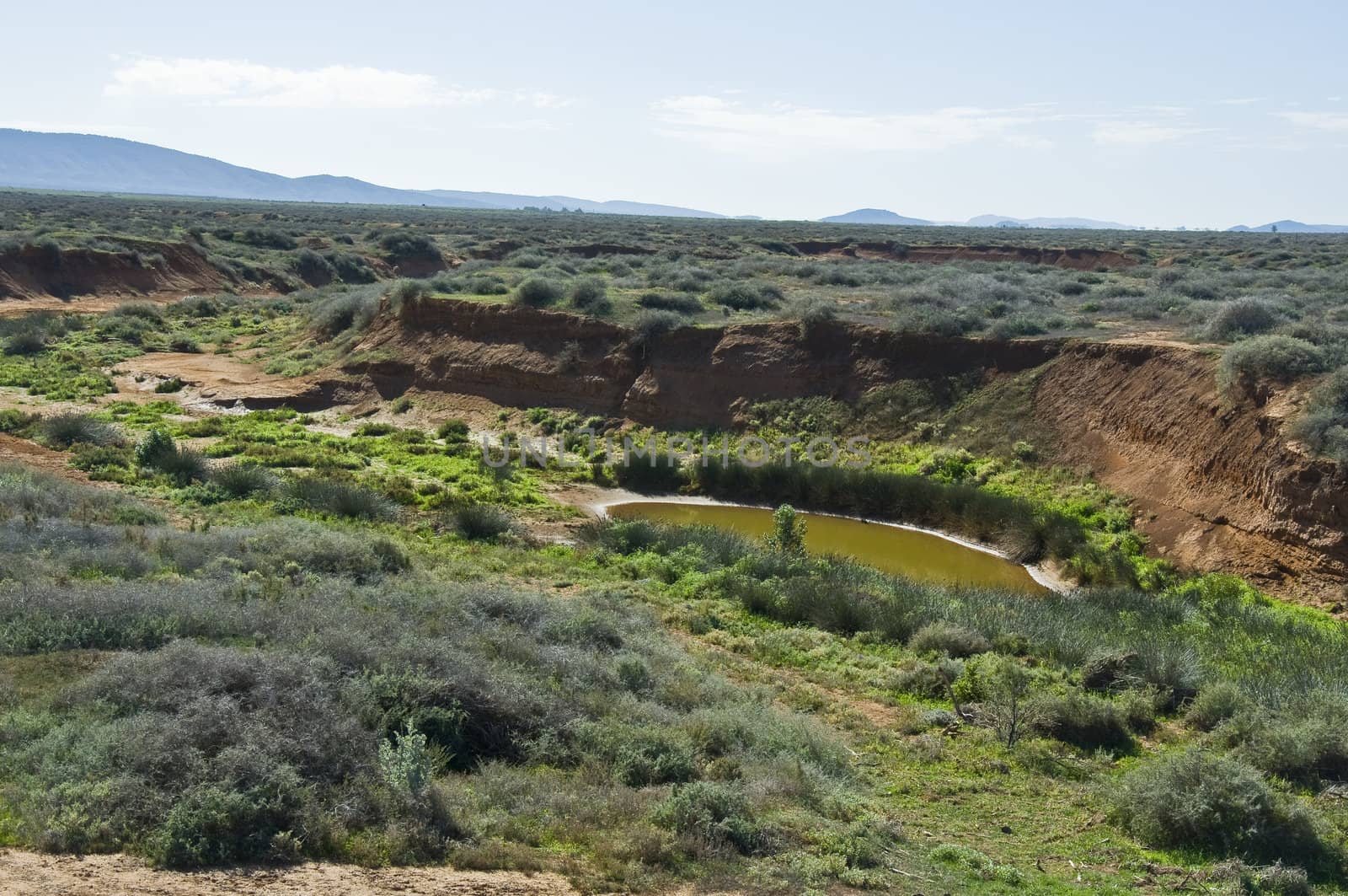 landscape in the australian outback