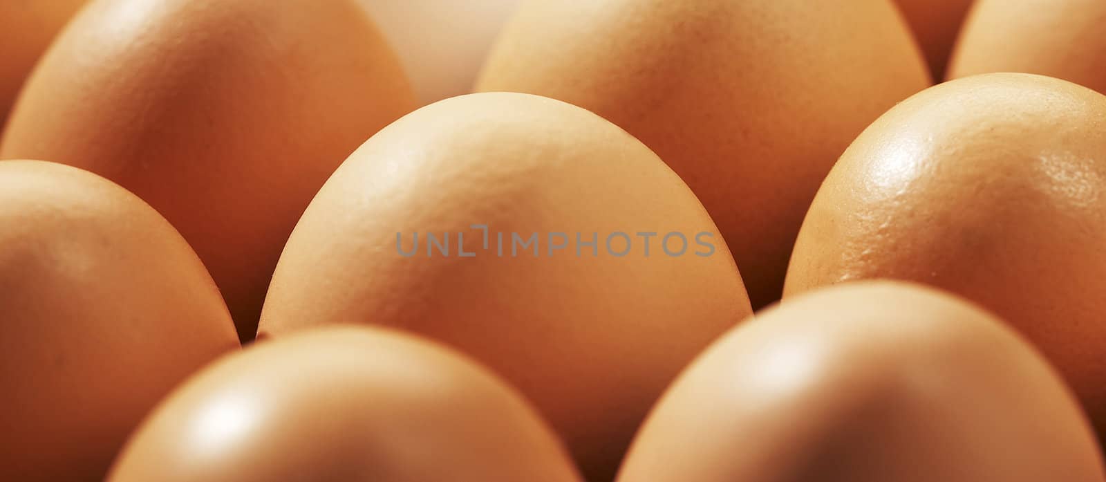 close up of eggs by ozaiachin