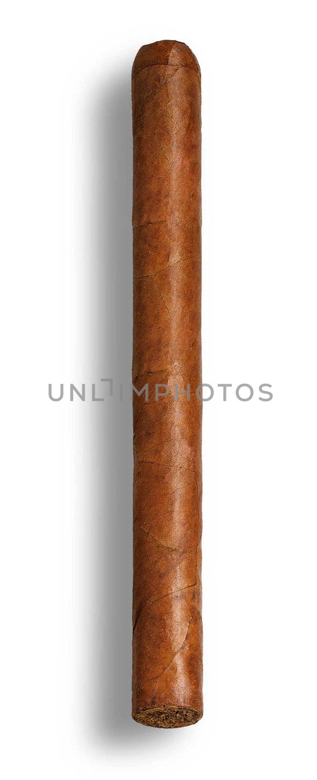 isolated long elegant brown cigar