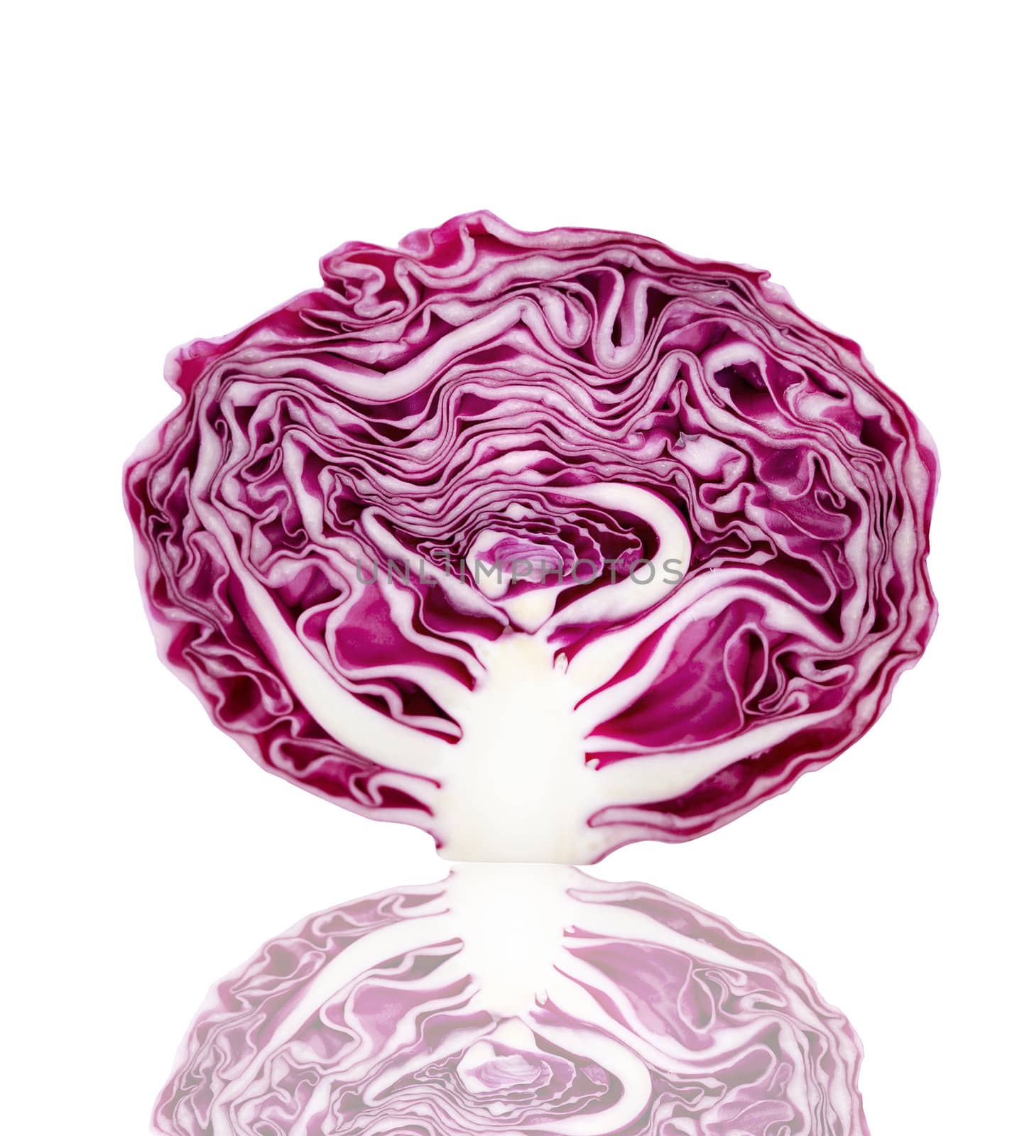 red cabbage