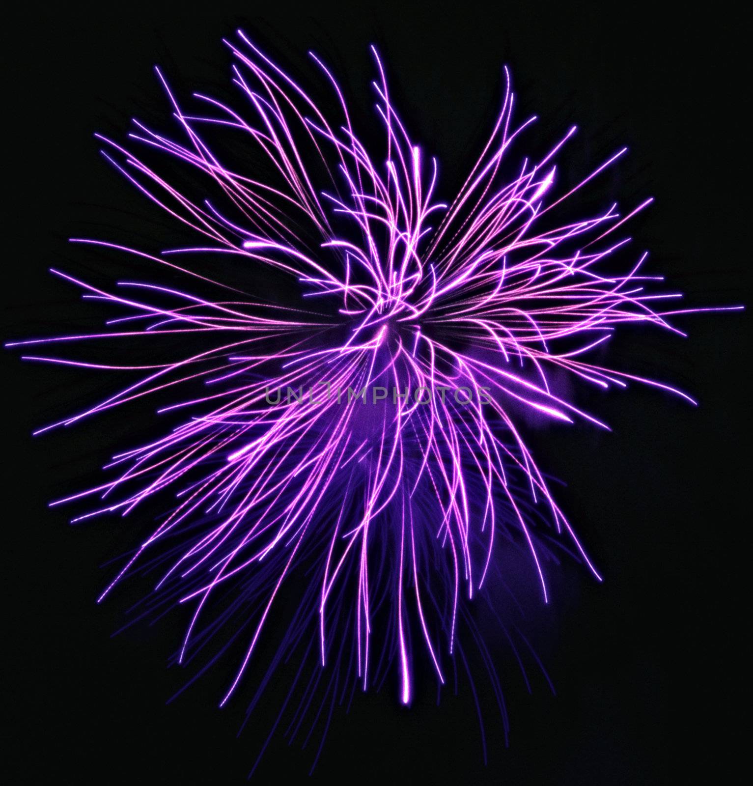 Purple Fireworks released in the dark sky