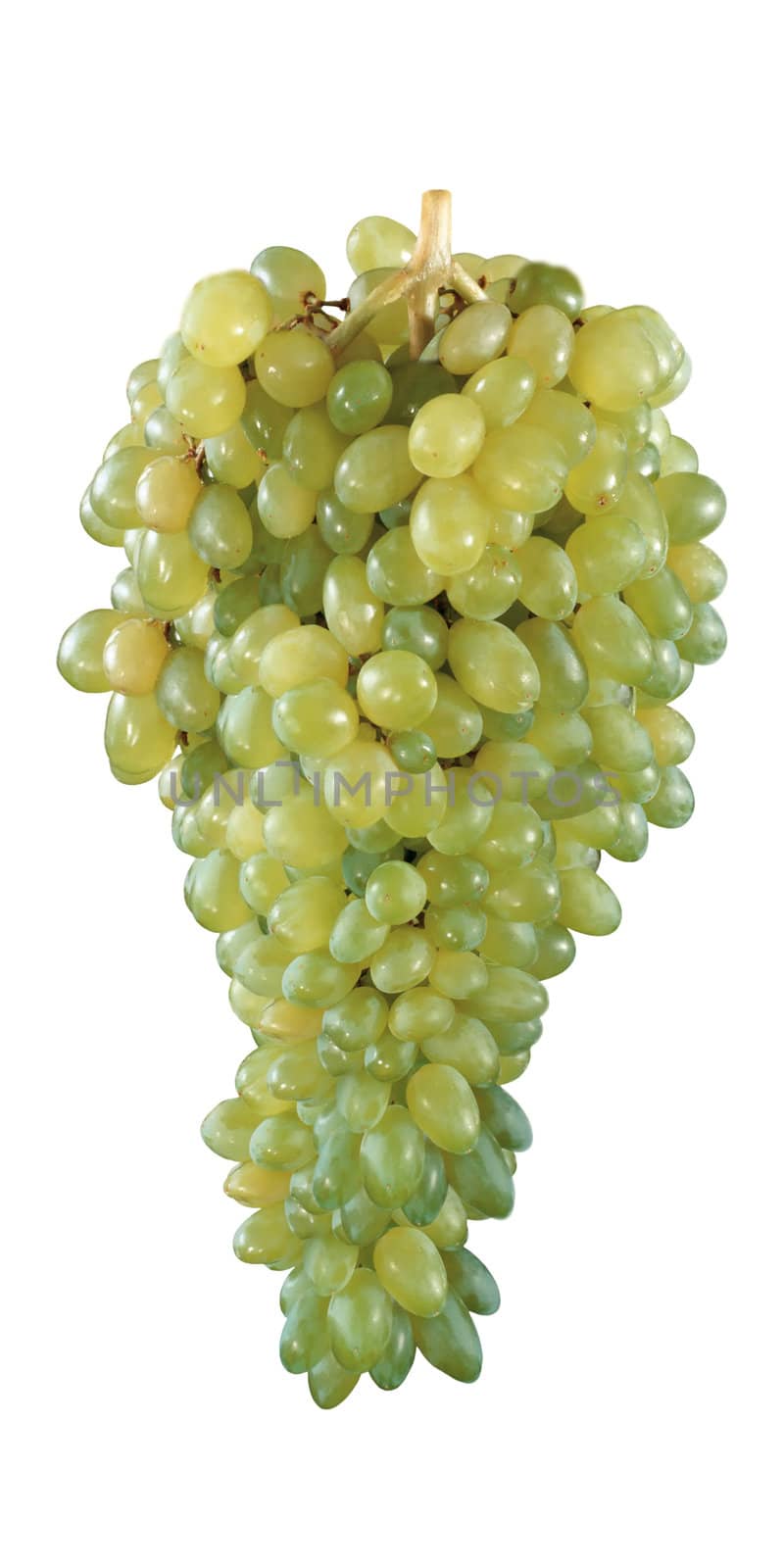 fresh grape fruits with green leaves isolated