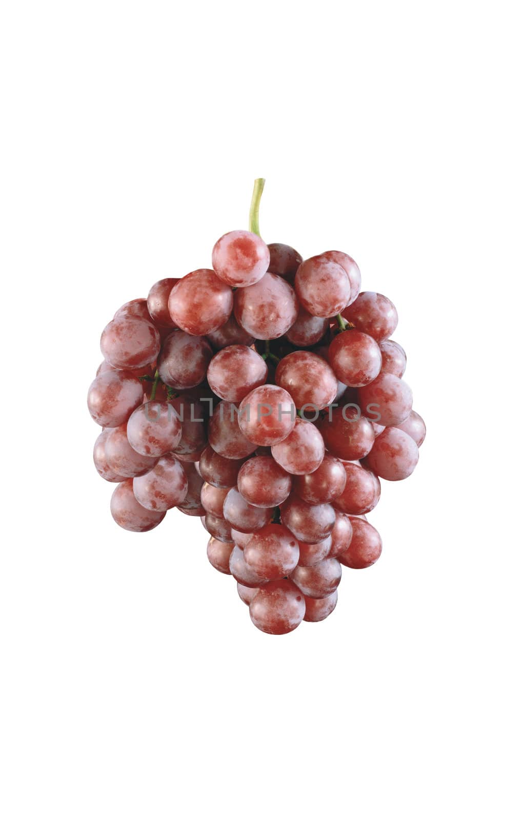 red grape isolated on white