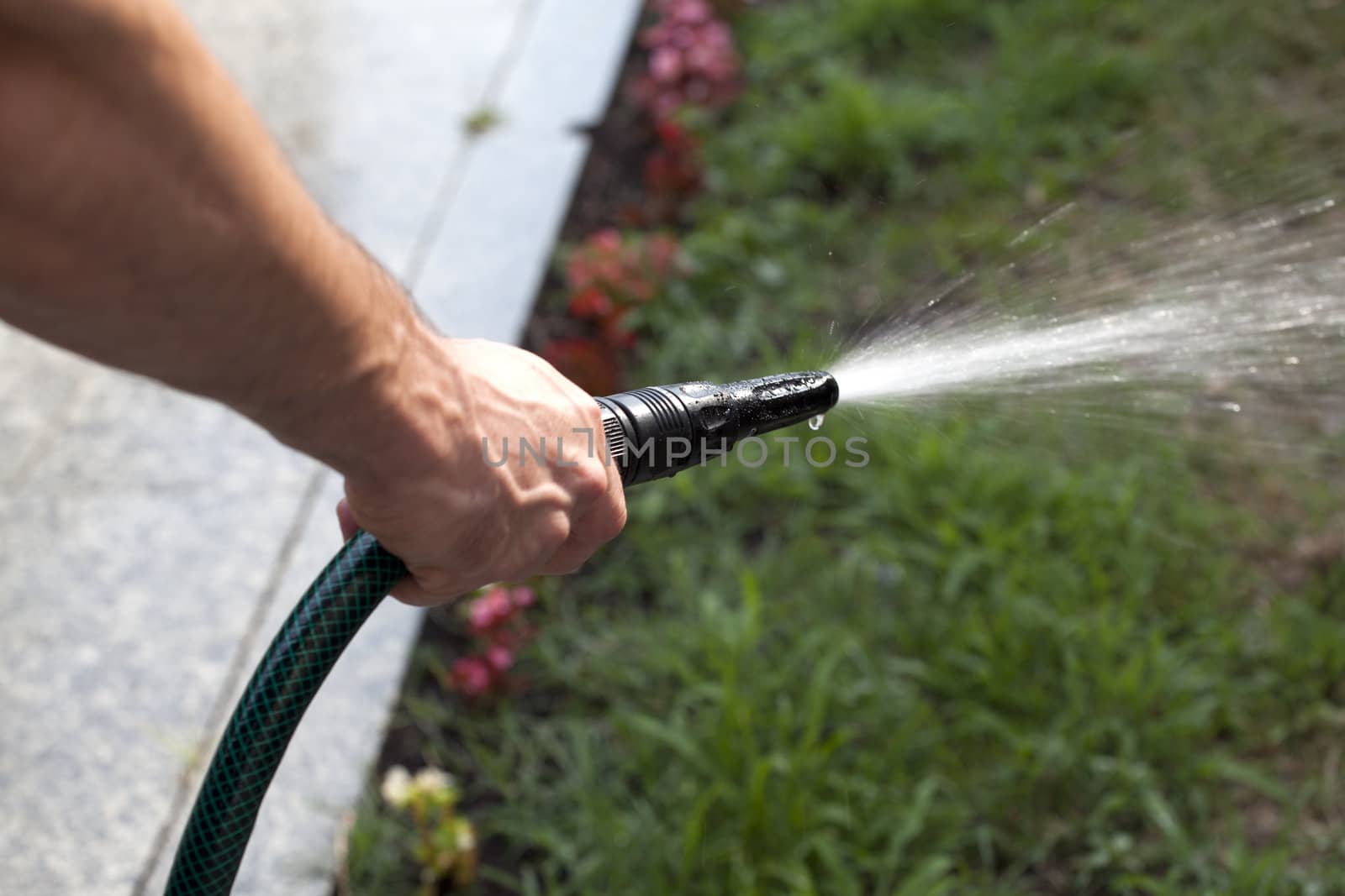 Watering the garden with plants and flower