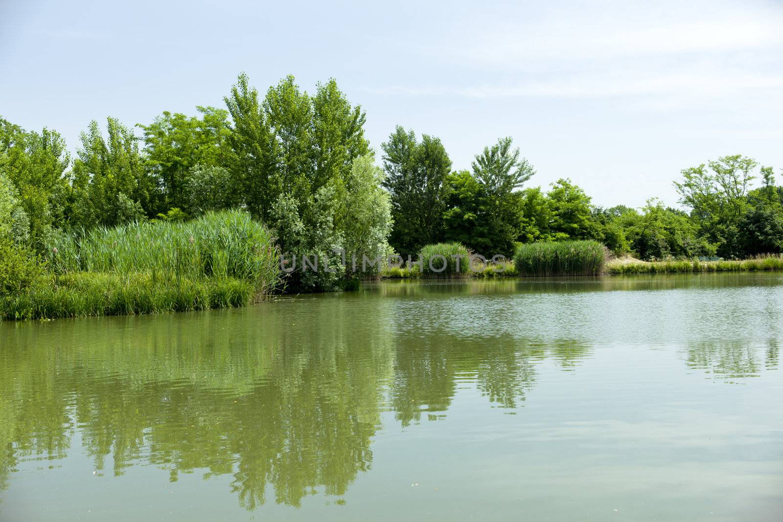 Lake, Parco delle cave in Milan