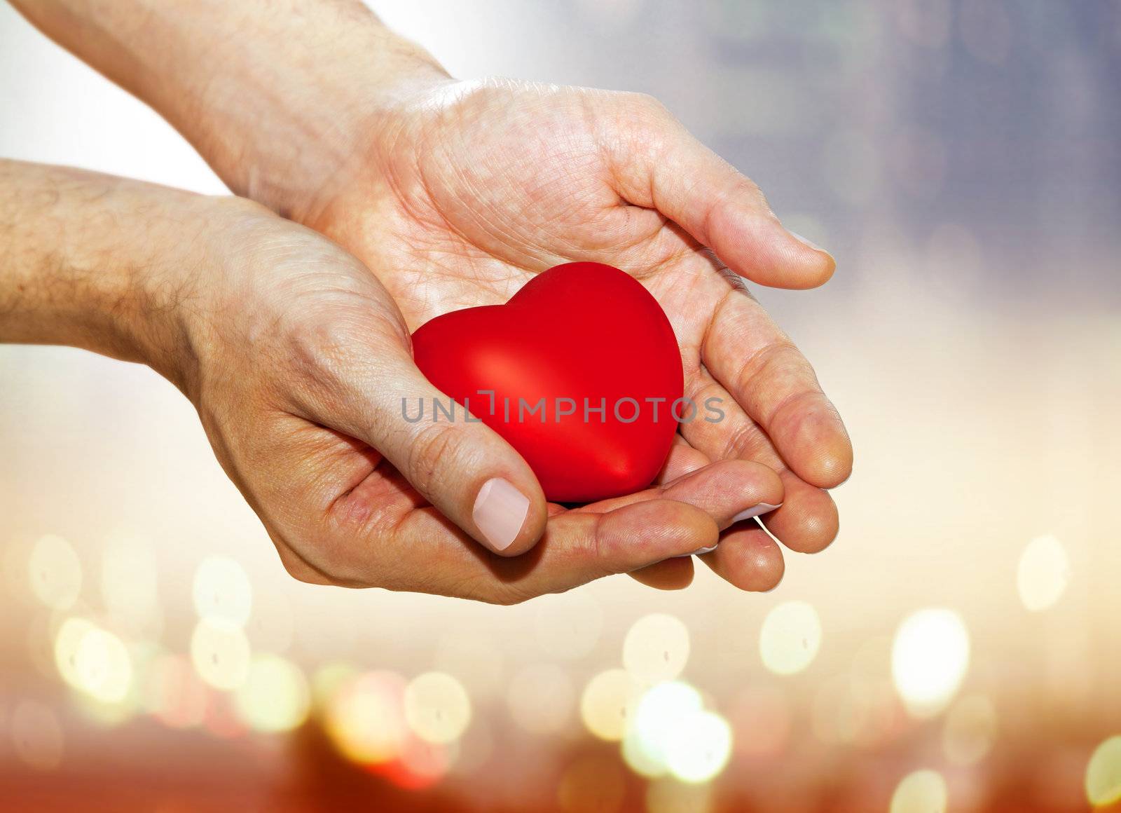 artificial red heart on hands of man