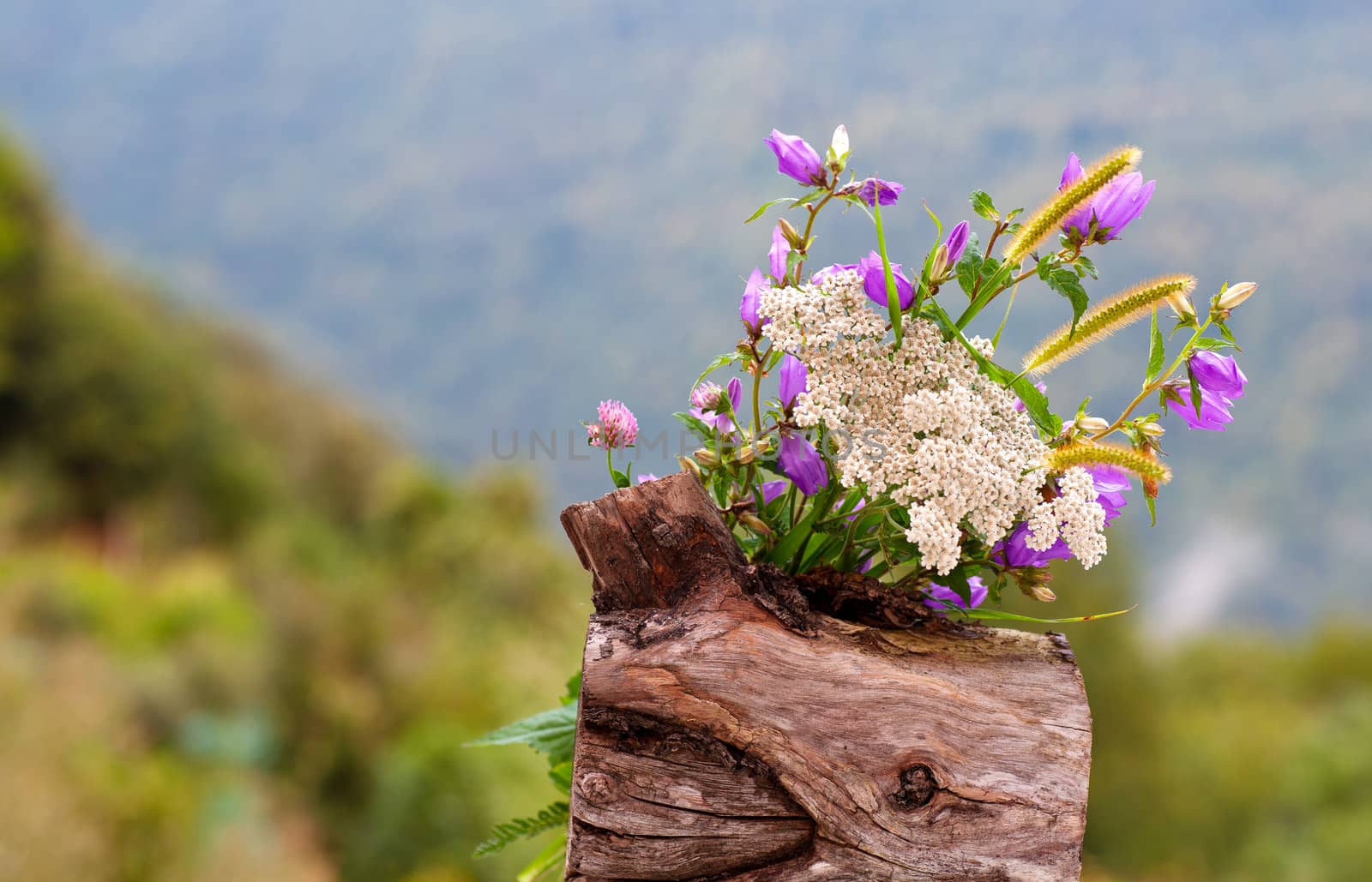Countryside flowers inside a wooden pot