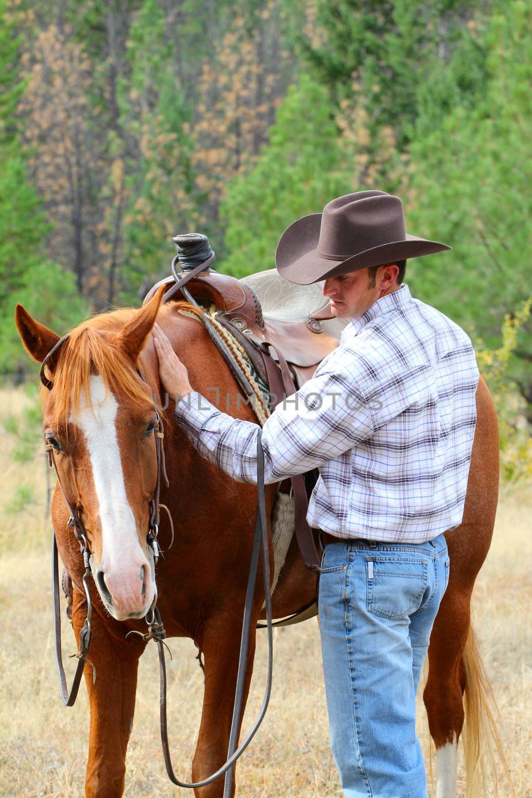 Cowboy with his horse in the field 