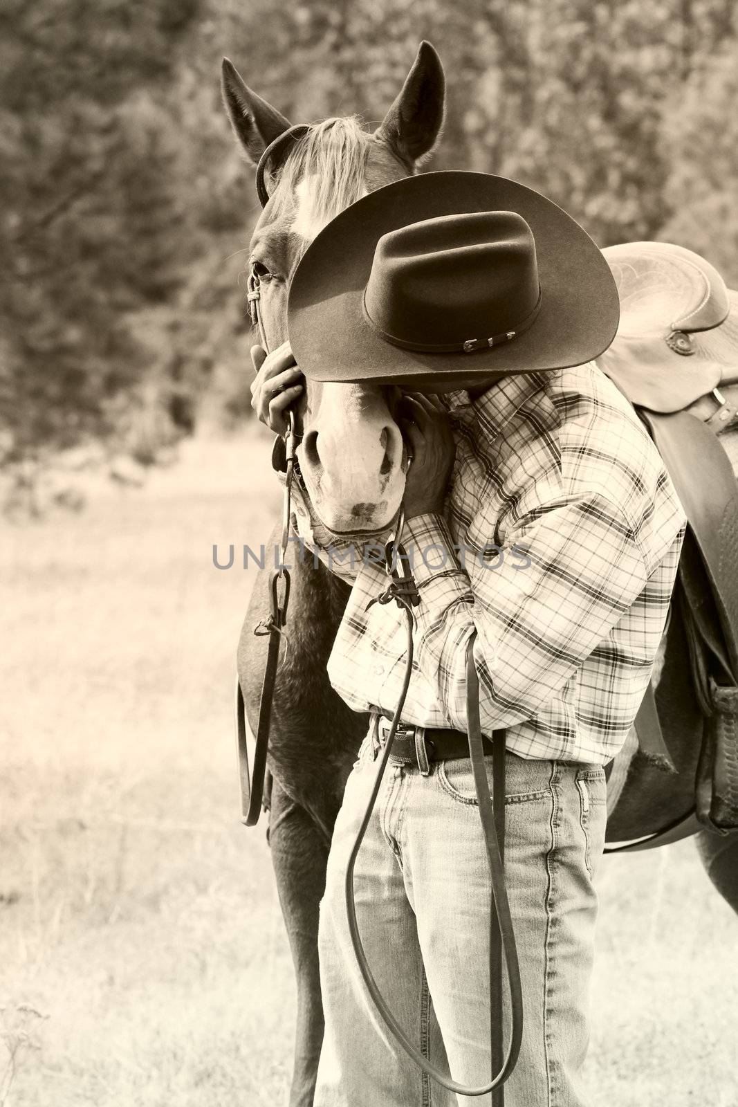 Cowboy with his horse in the field 