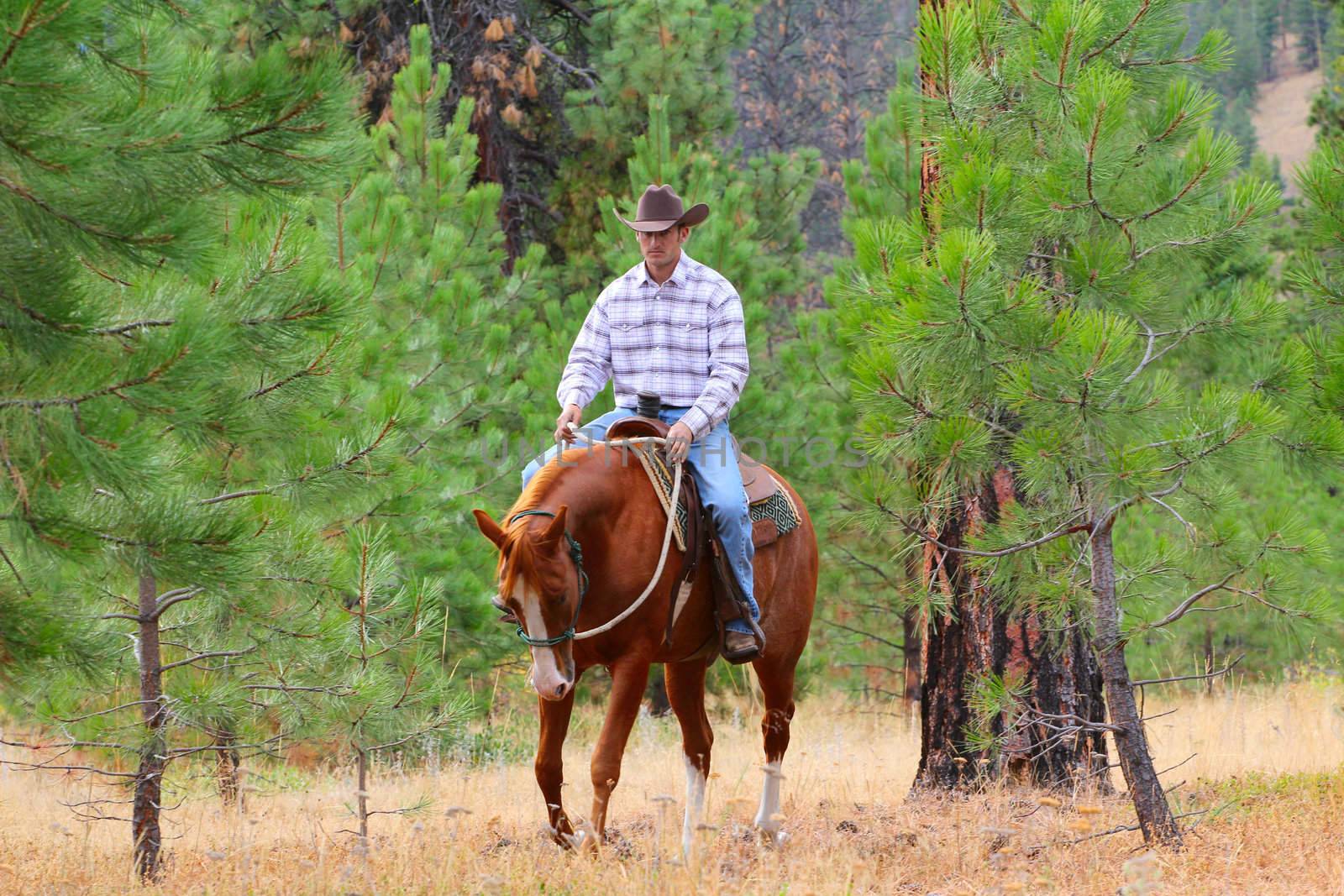 Young cowboy riding his horse in the field