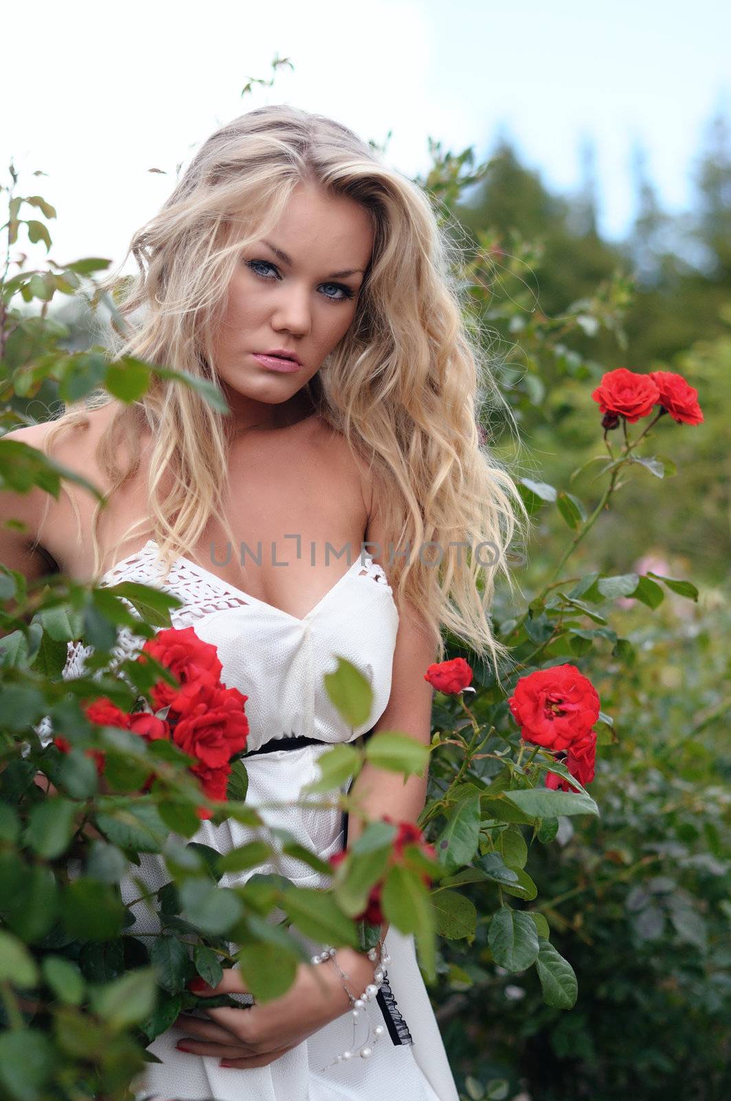 woman and roses by peterveiler