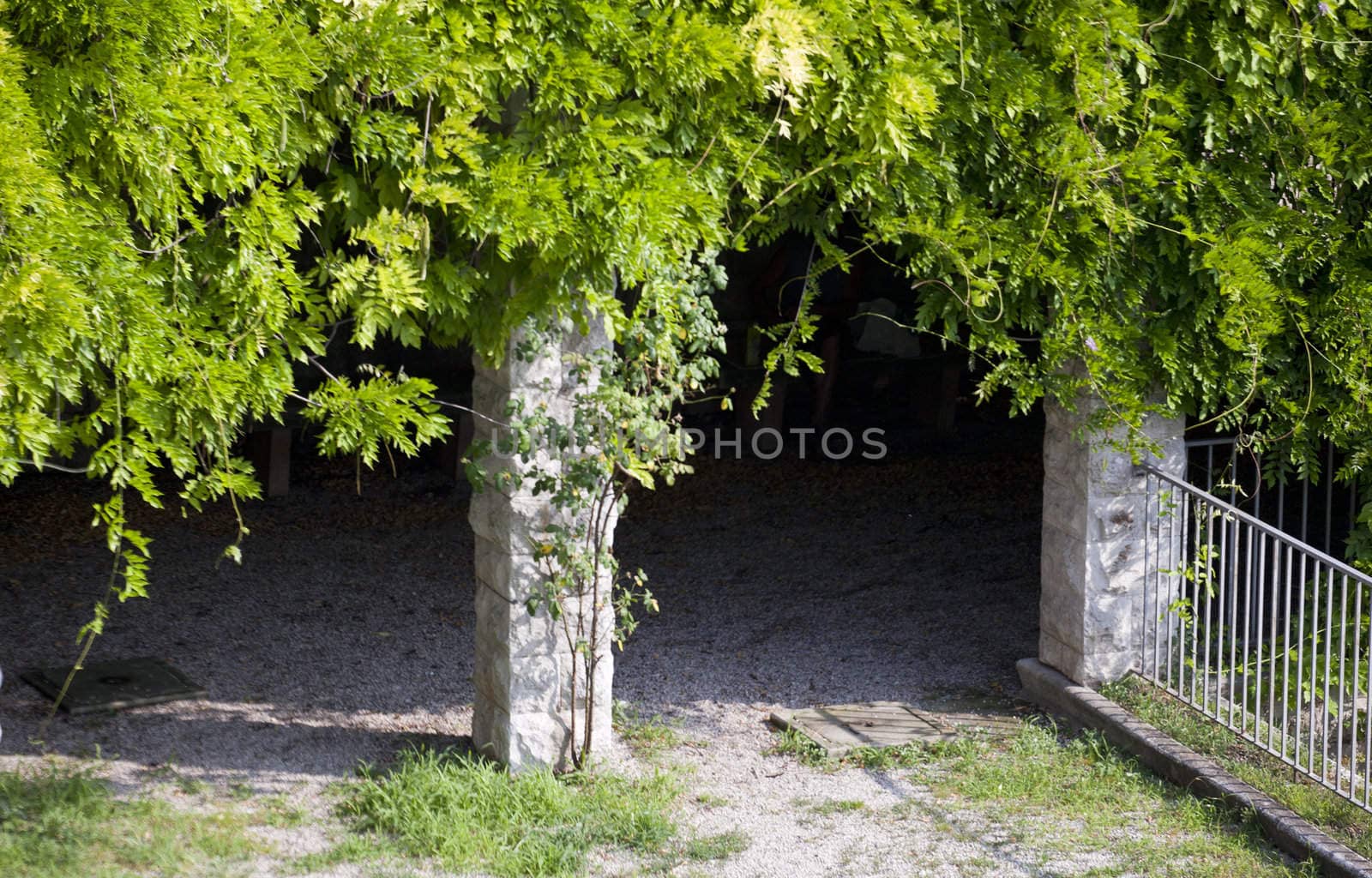 View of Plants on pillars