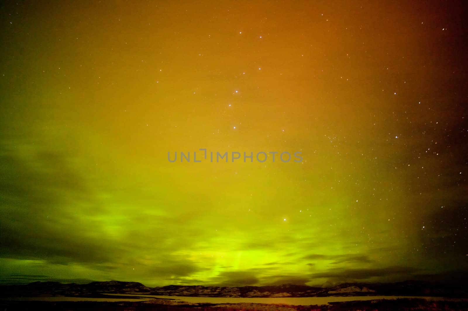 Surreal night sky of Northern Lights or Aurora borealis  thin clouds and stars over snowy winter landscape of Lake Laberge  Yukon Territory  Canada