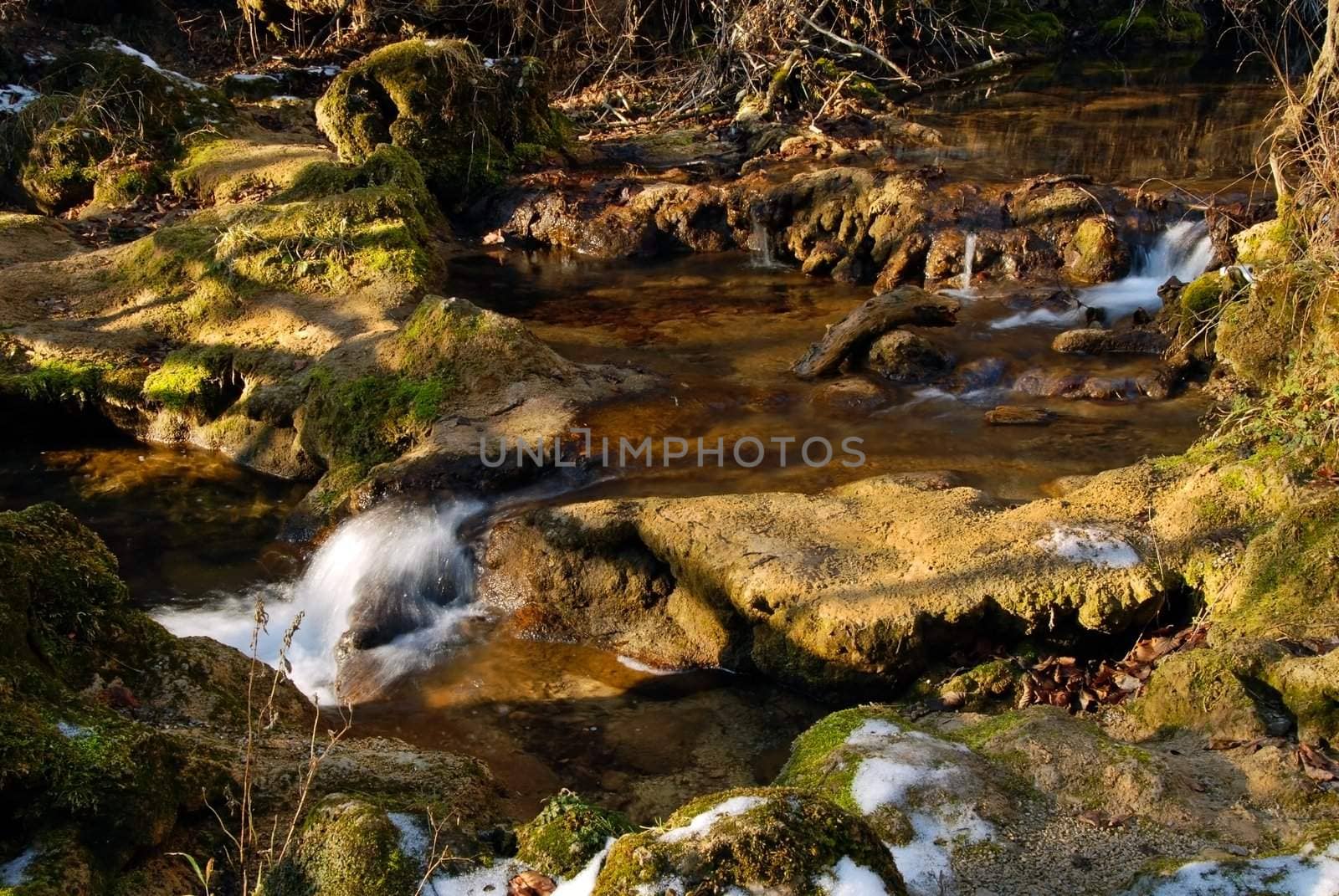 Spring stream at sunlight by simply
