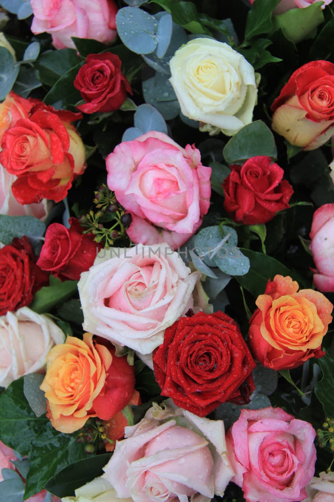 Floral arrangement with roses in bright colors