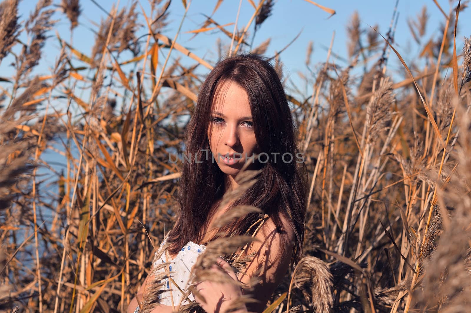 Gentle Beauty Amongst The Reeds by peterveiler