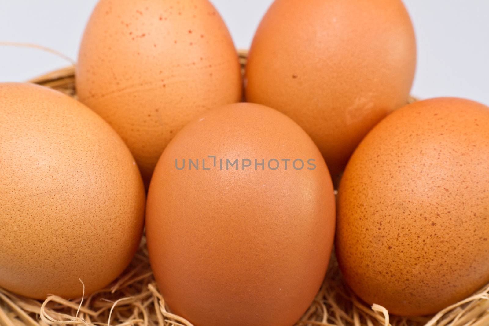 five brown eggs on straw bedding against white background