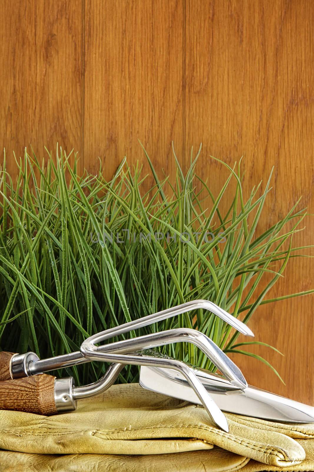 Garden tools with grass on wood background by Sandralise