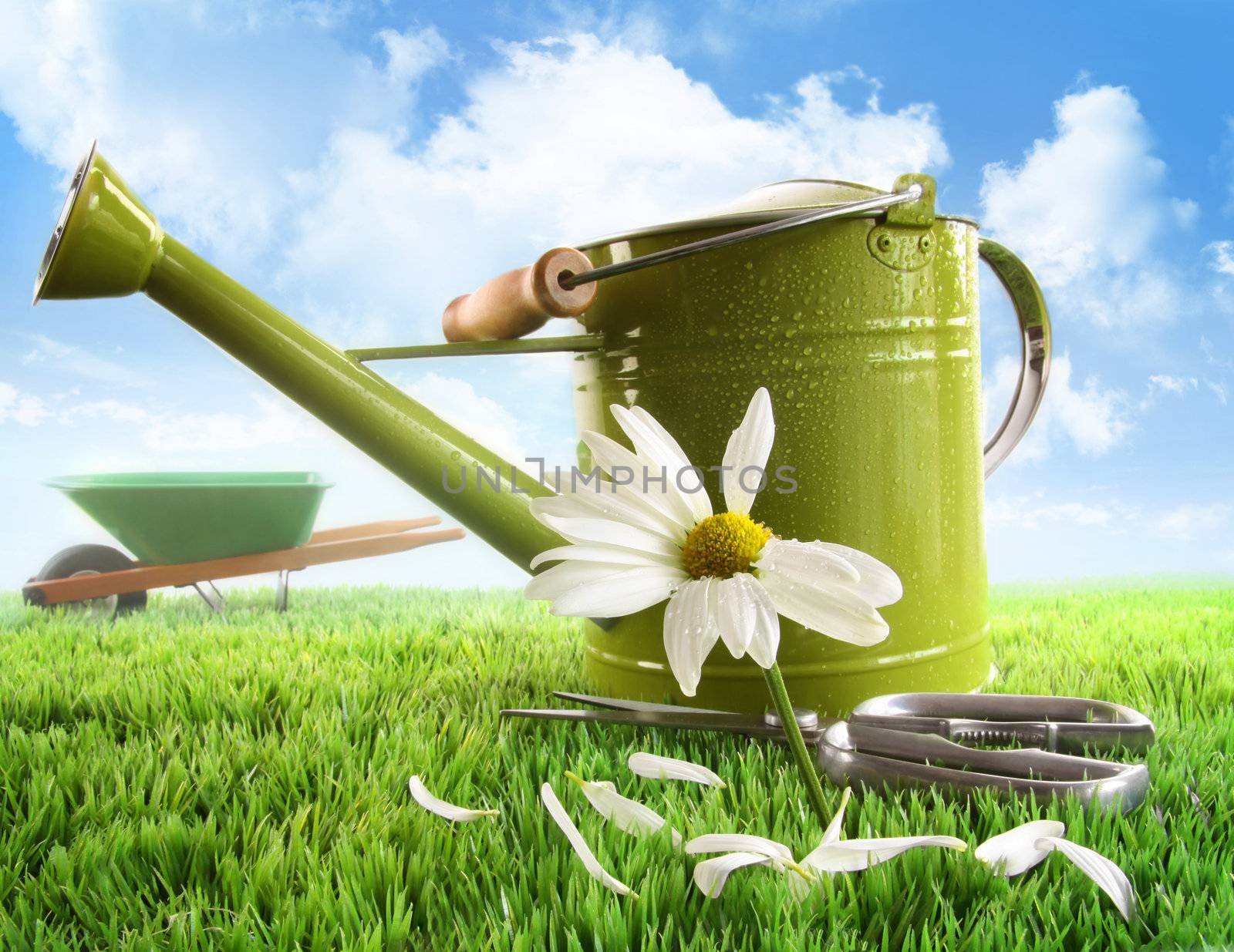 Green watering can with large daisy against sky background