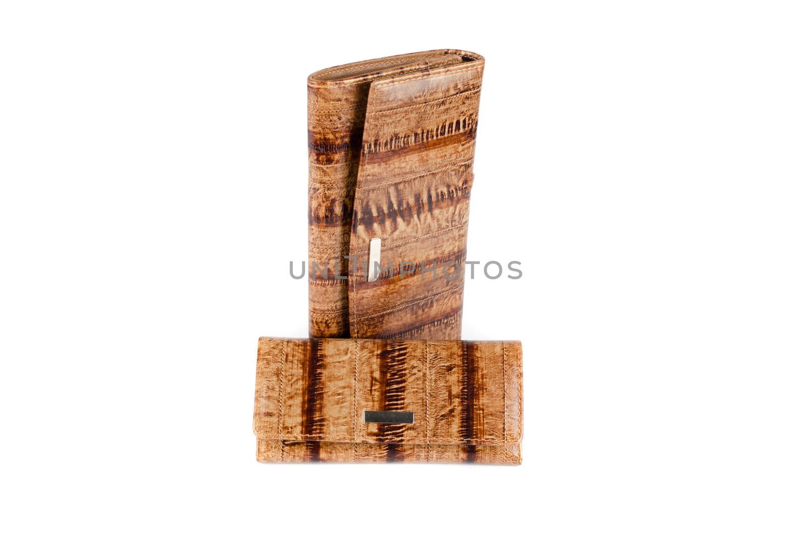 Modern brown female wallets isolated on white background