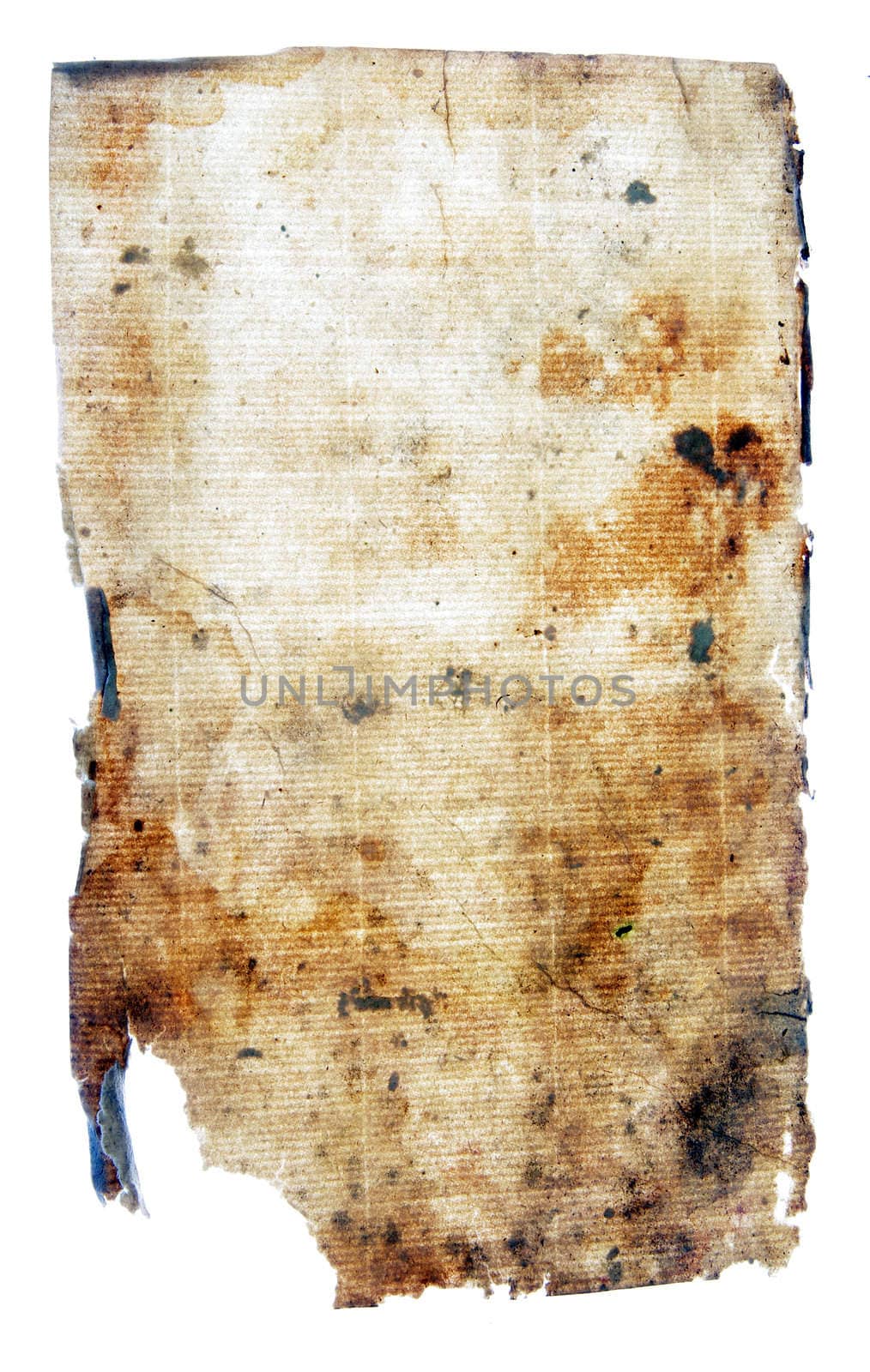 Old paper of the beginning of the last century on a white background