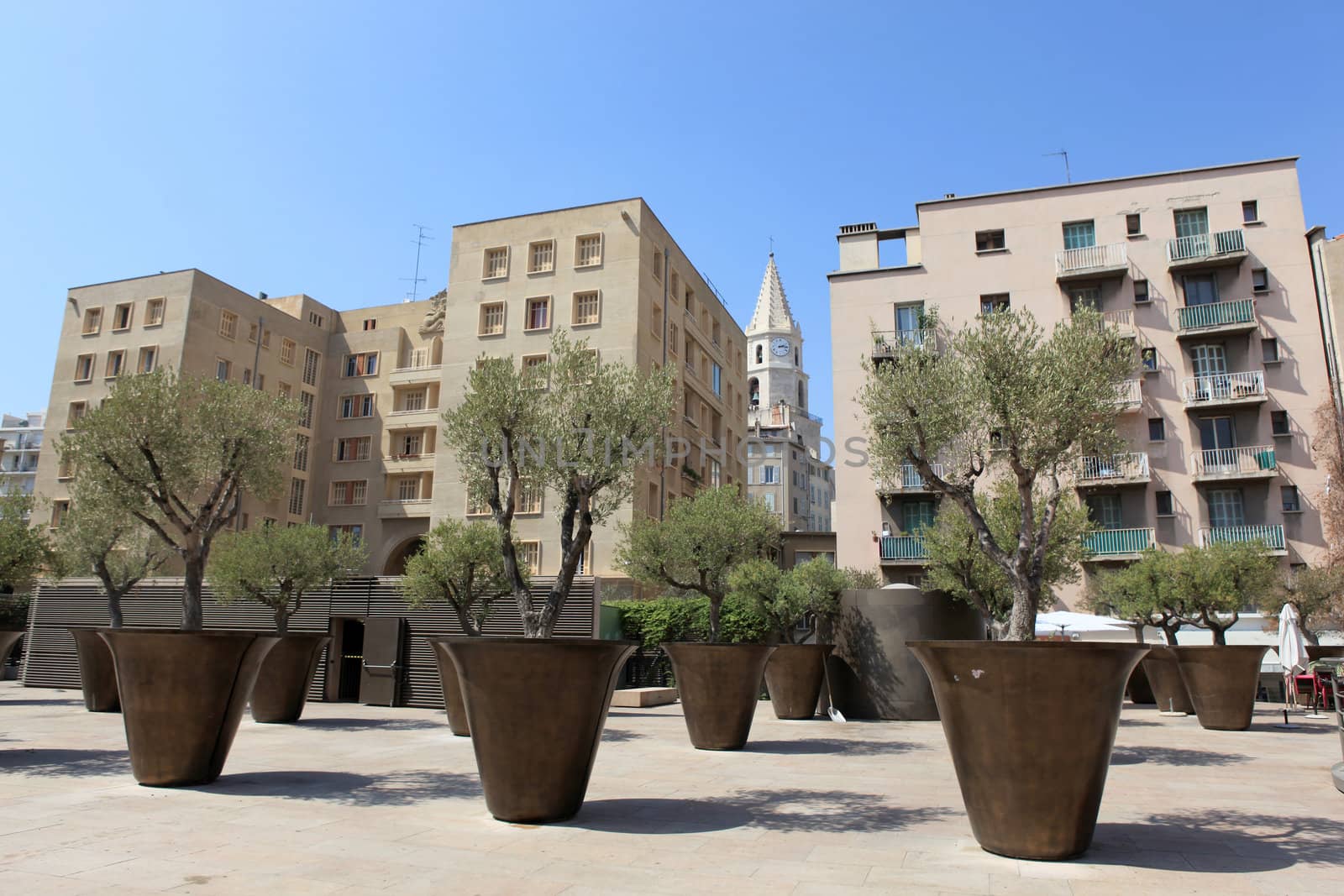 Plants in a city square