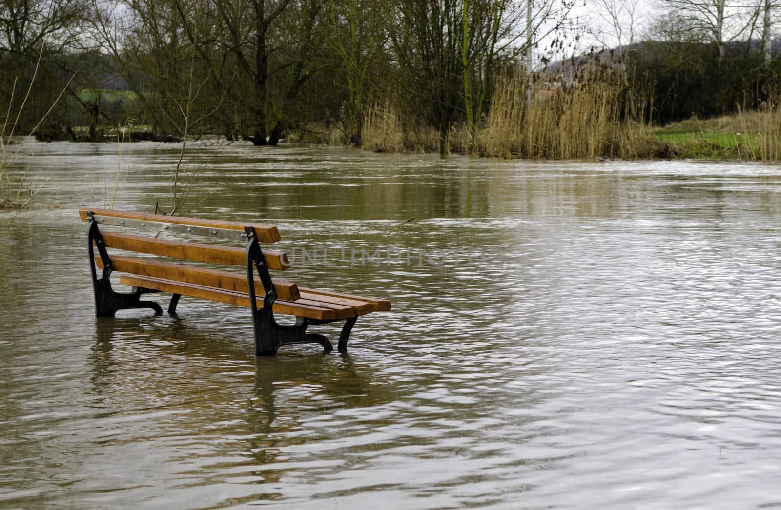 a bench surrounded by water