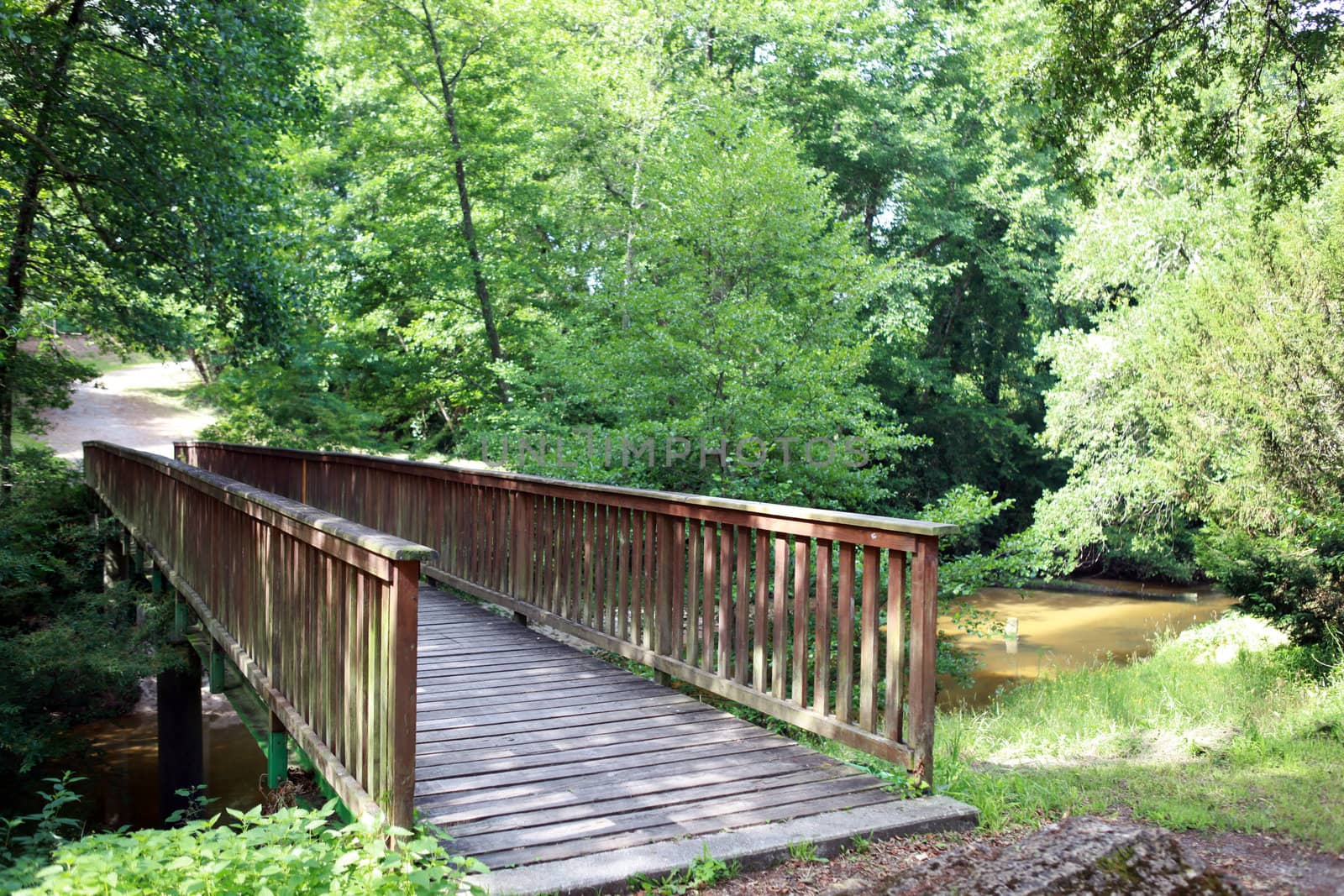 Wooden bridge over a stream