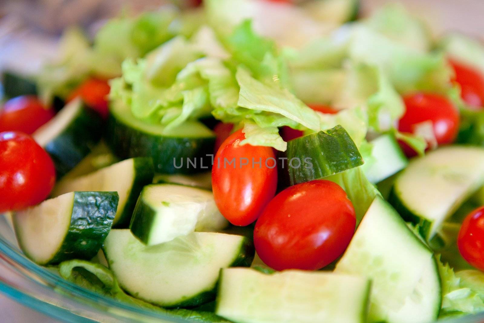 Green vegetable salad with cucumbers and tomatoes and lettuce.