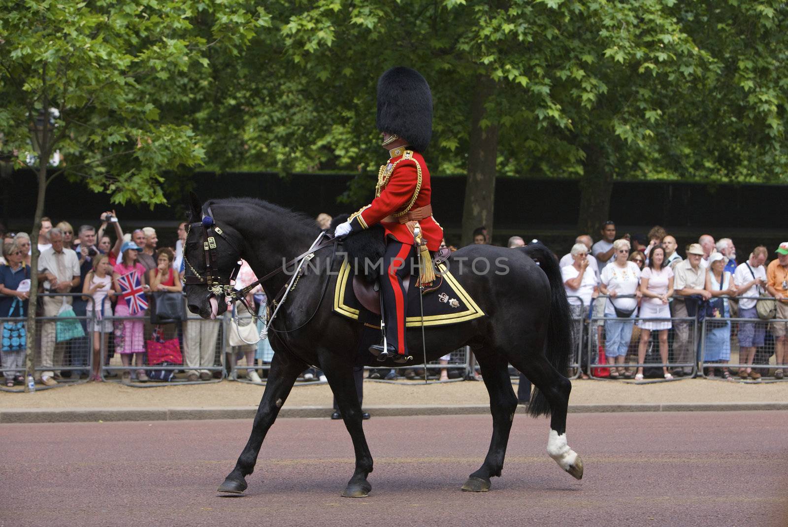 London royal guards at the Trooping of the Colour