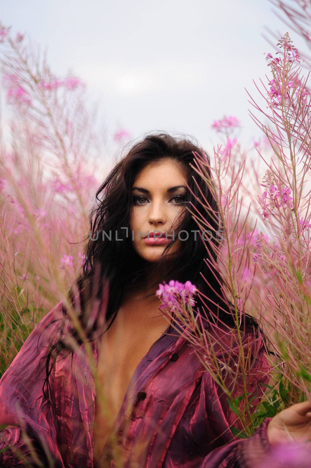 woman in violet flowers