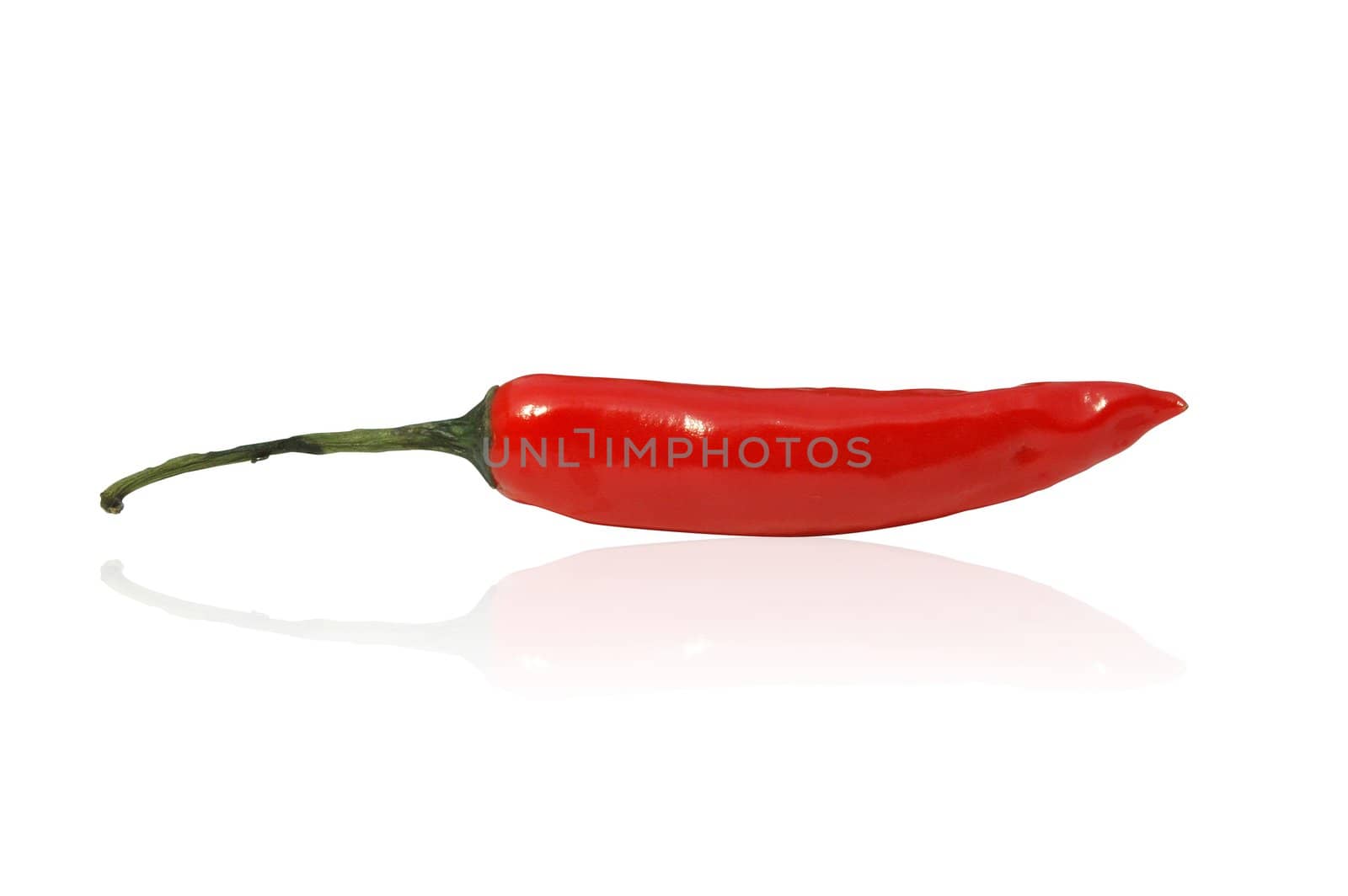 Red hot chili with clipping path