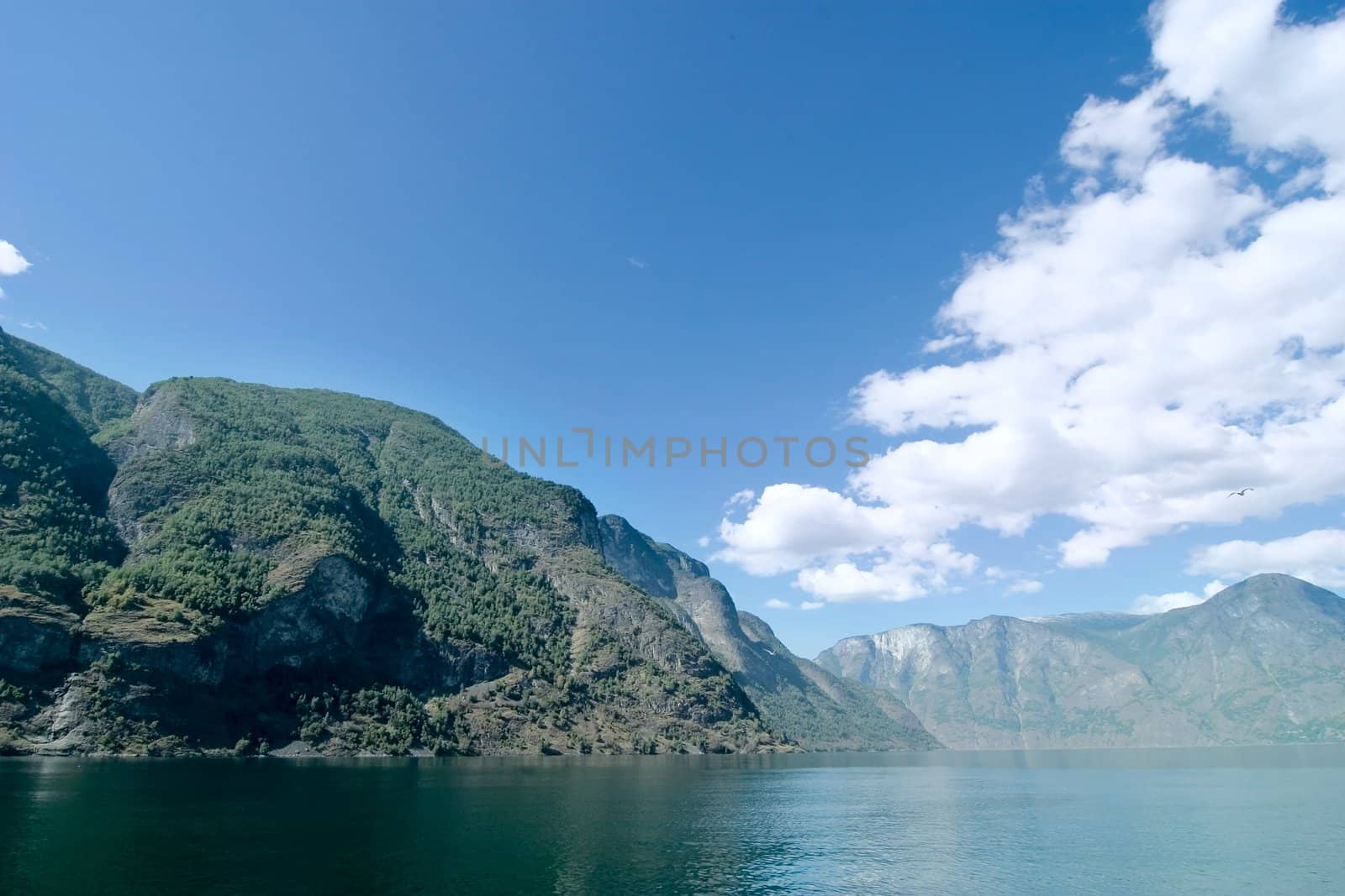 Fjord landscape in the western area of Norway, Aurlandsfjord in Sognefjord.