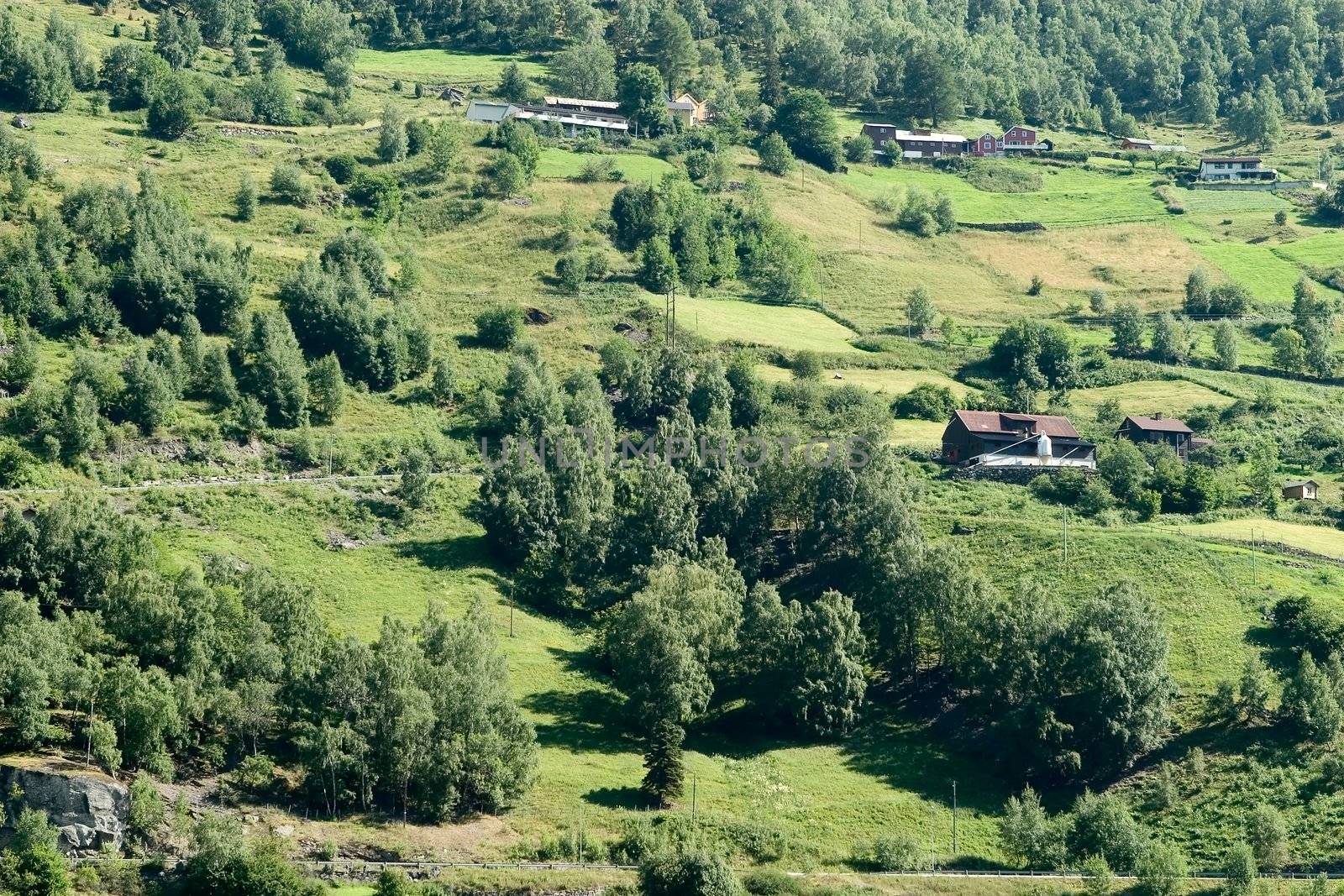 A mountain farm on the side of Aurlandsfjord, Sognefjord, in western Norway.