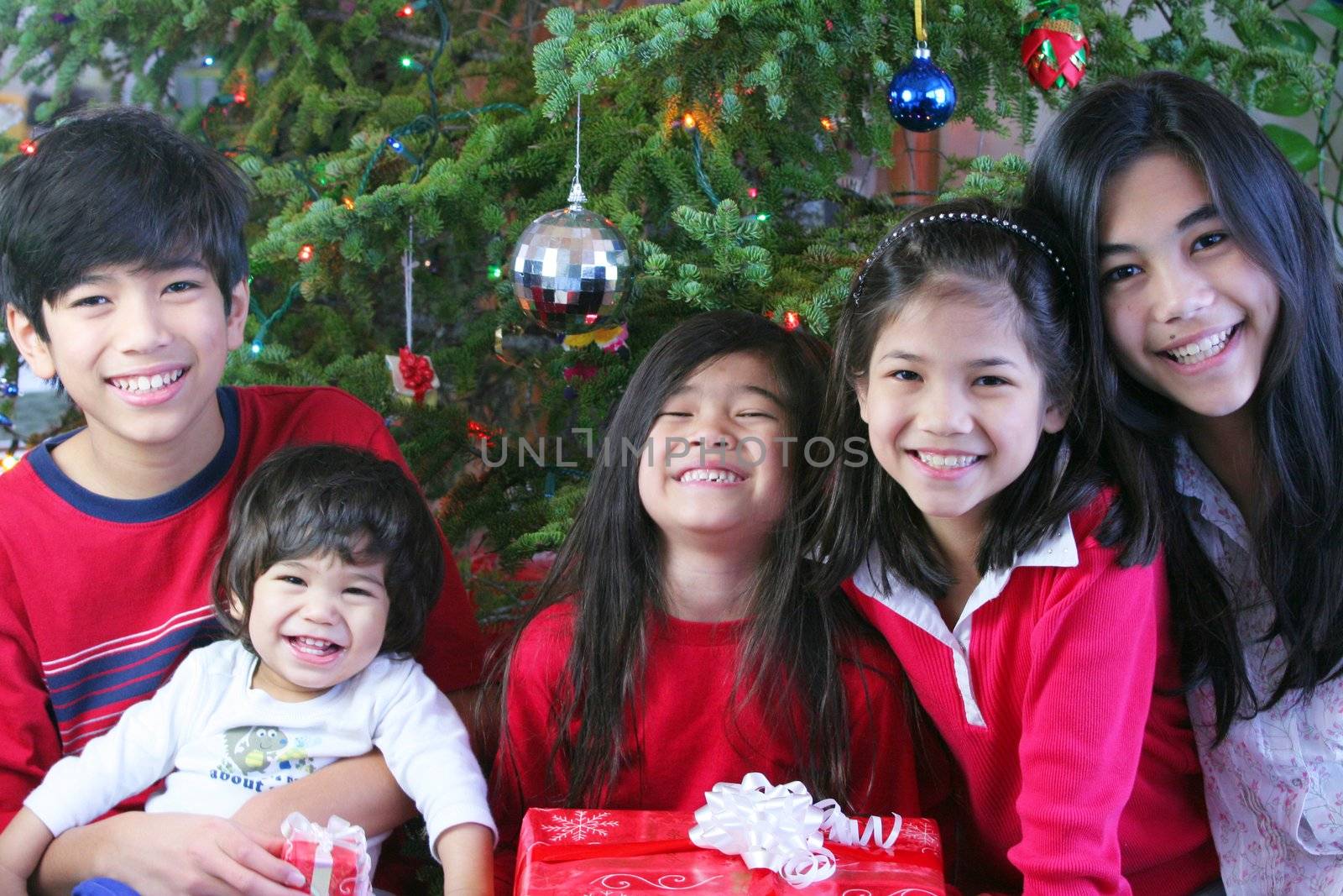 Five siblings smiling and holding Christmas presents in front of the Christmas tree.