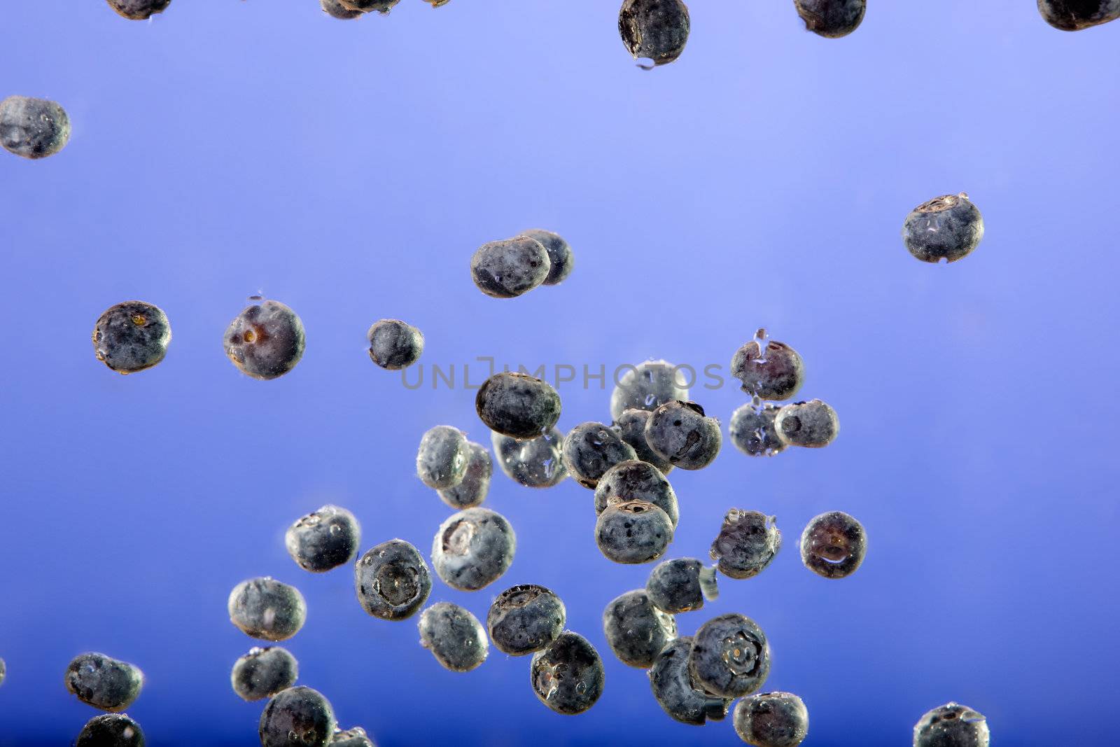 Blueberries floating in water with bubbles