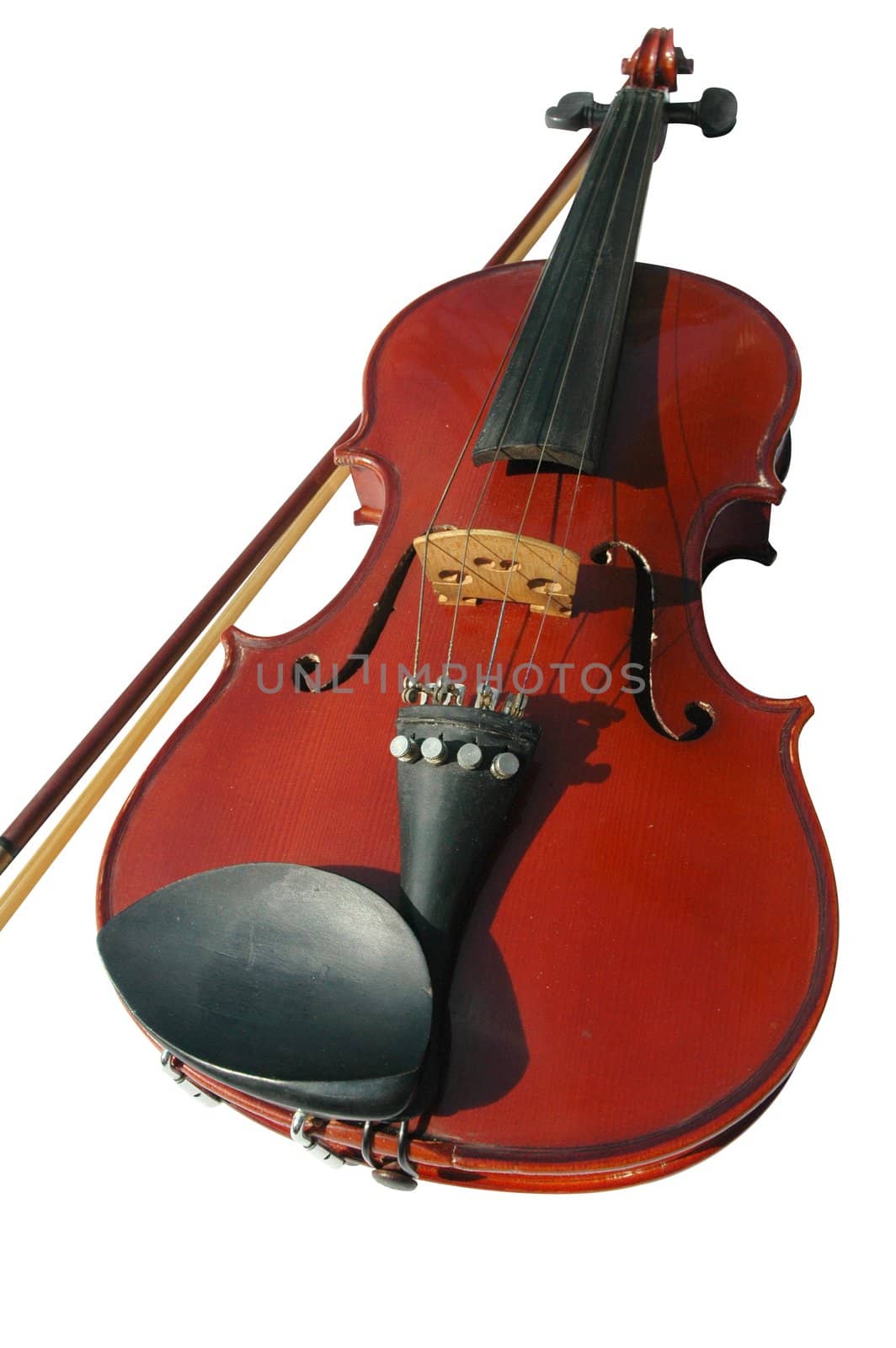 Violin on white background with clipping path