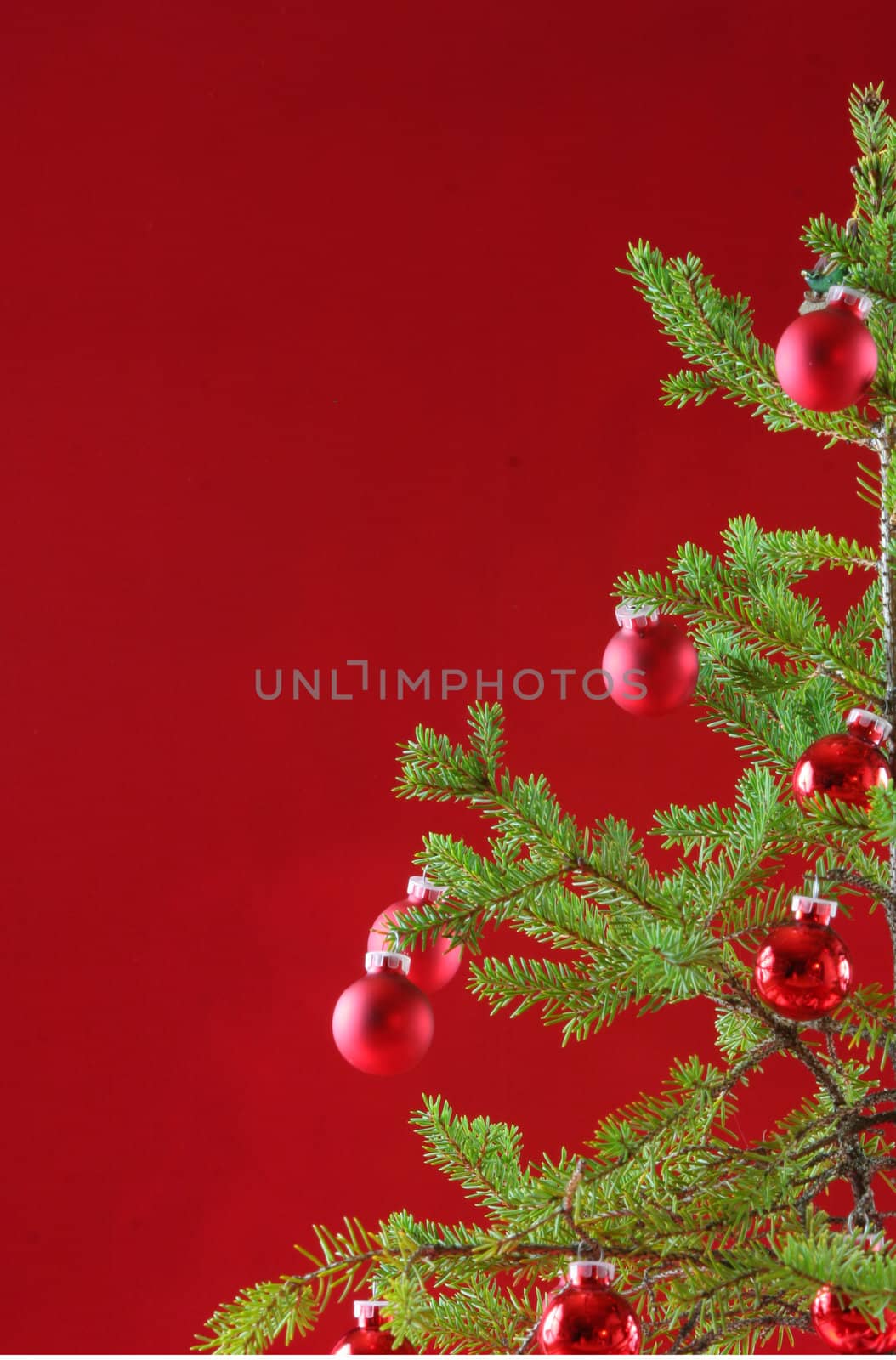 Miniature Christmas tree with miniature red ornaments and elegant rich dark red background.