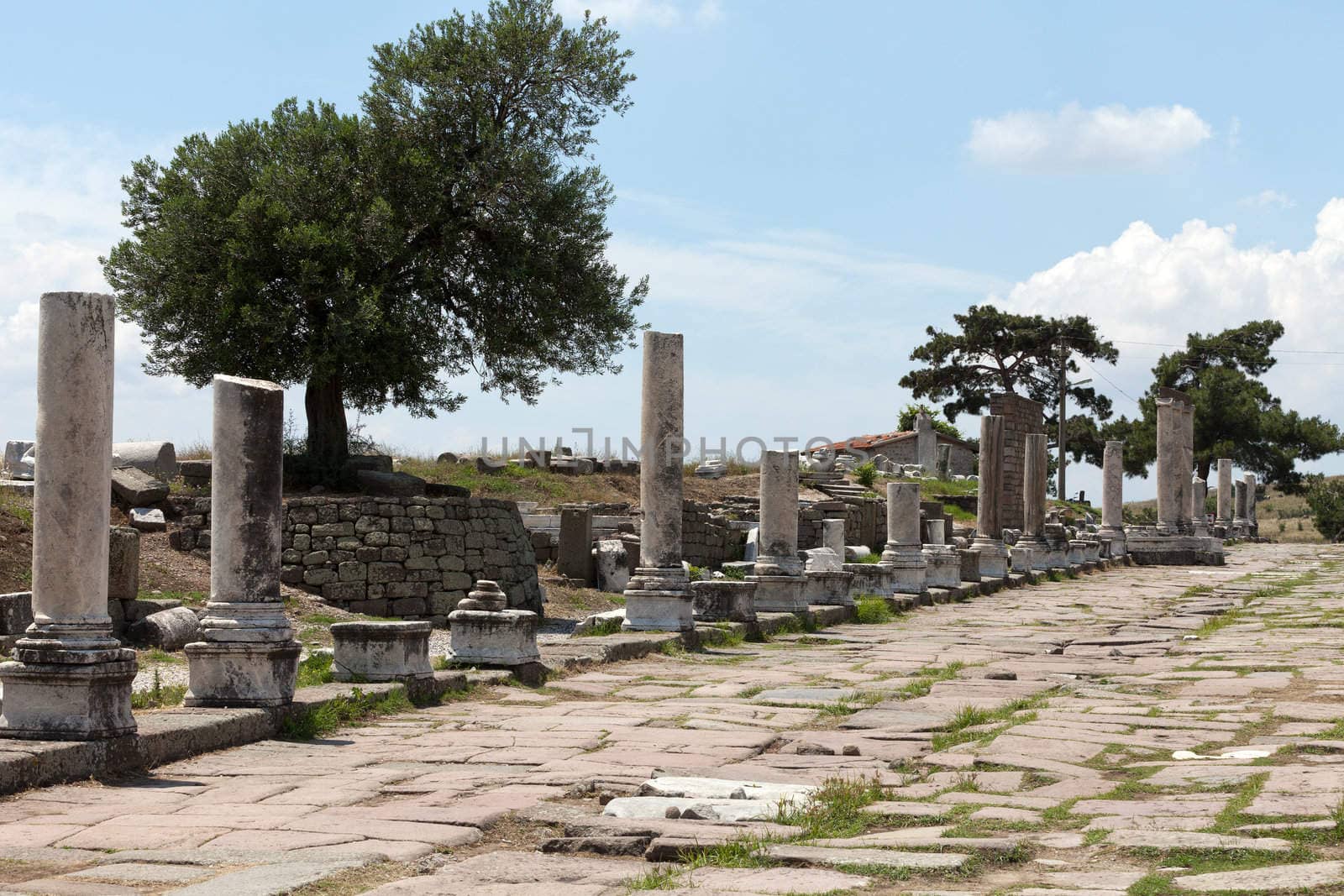 Via Tecta, the Roman sacred street leading to the Asklepion in Roman city Pergamum. 