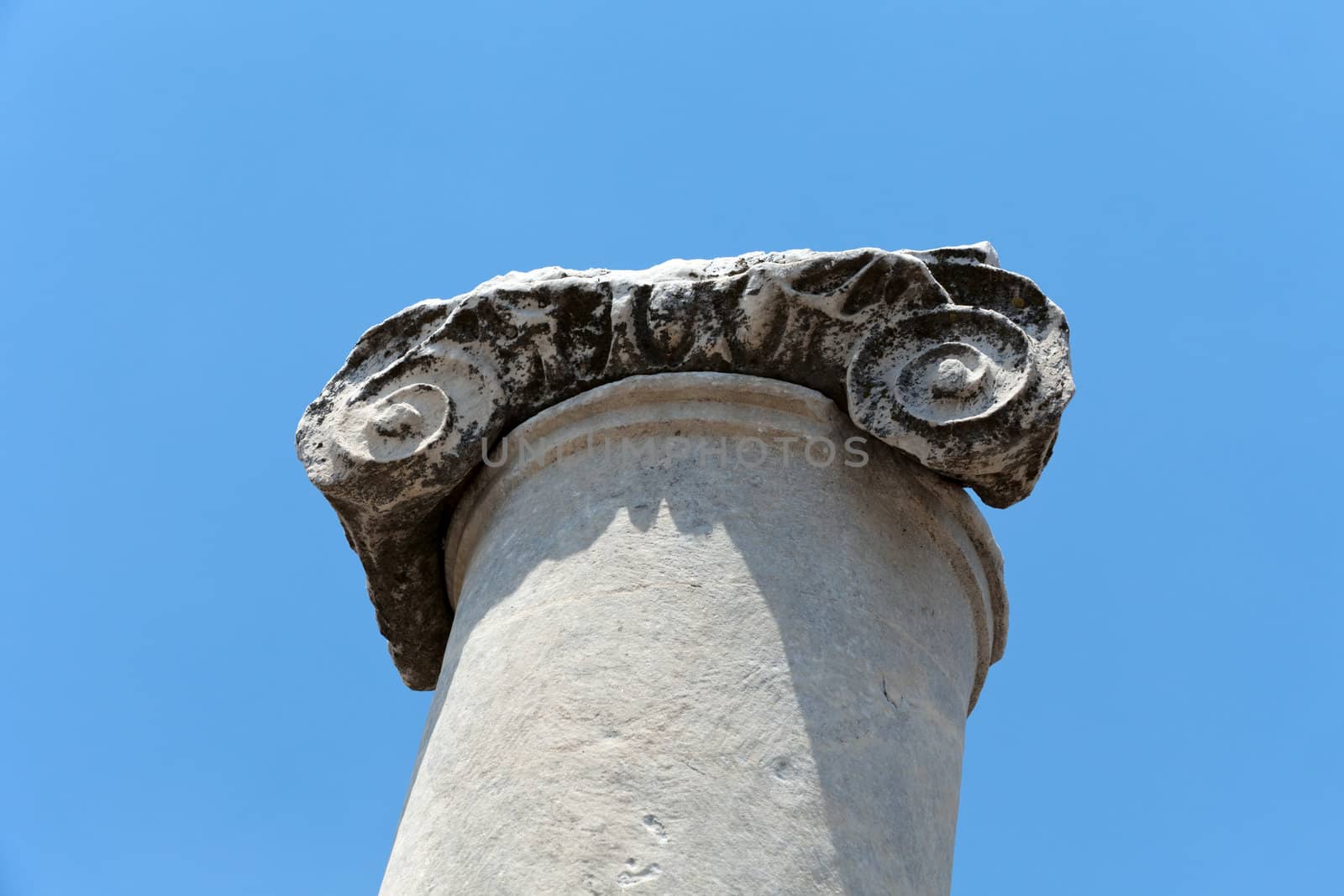 Ionian column capital, architectural detail 