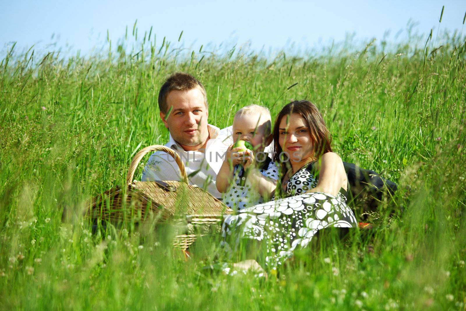  picnic of happy family on green grass