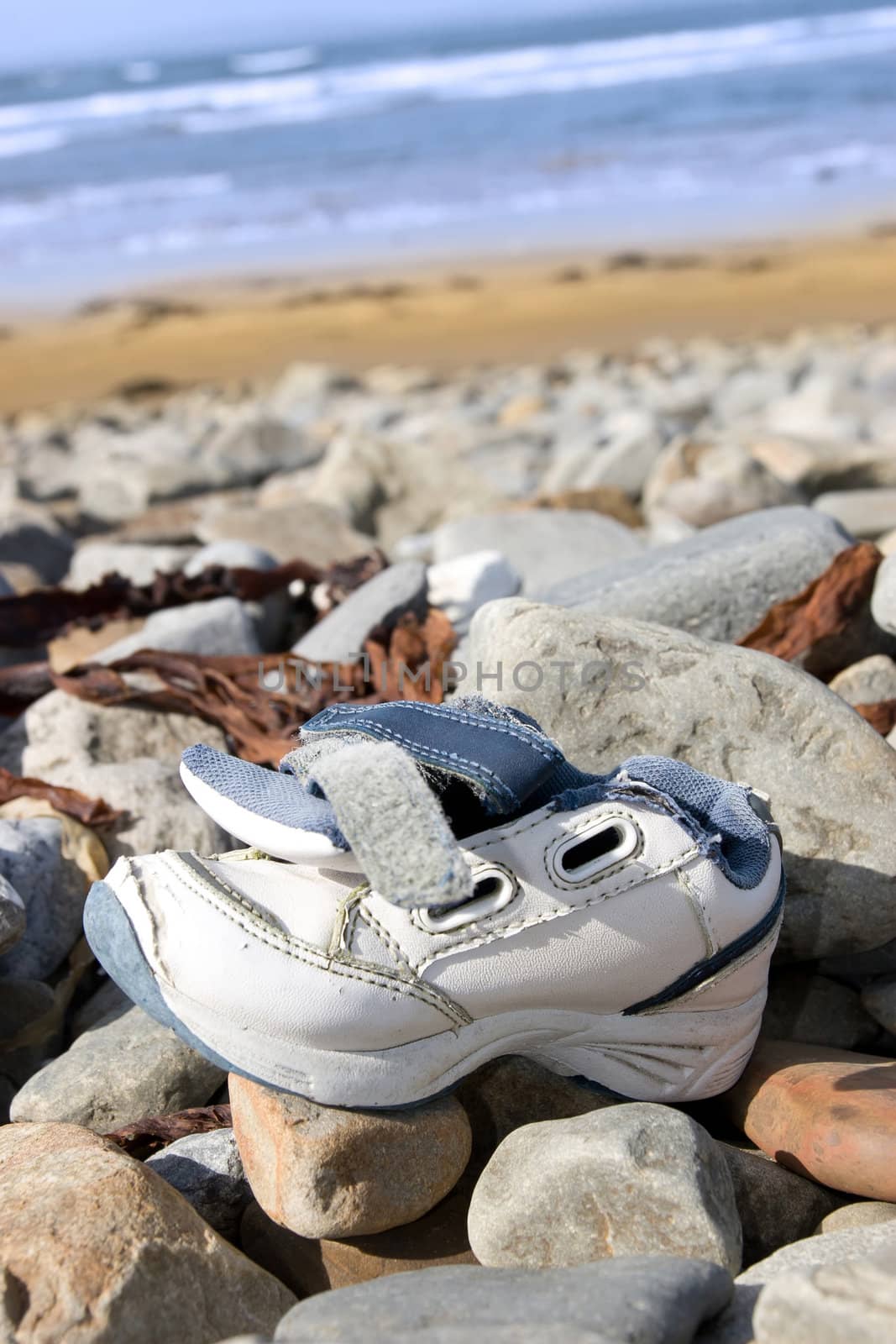 a single shoe washed up on the beach in ireland