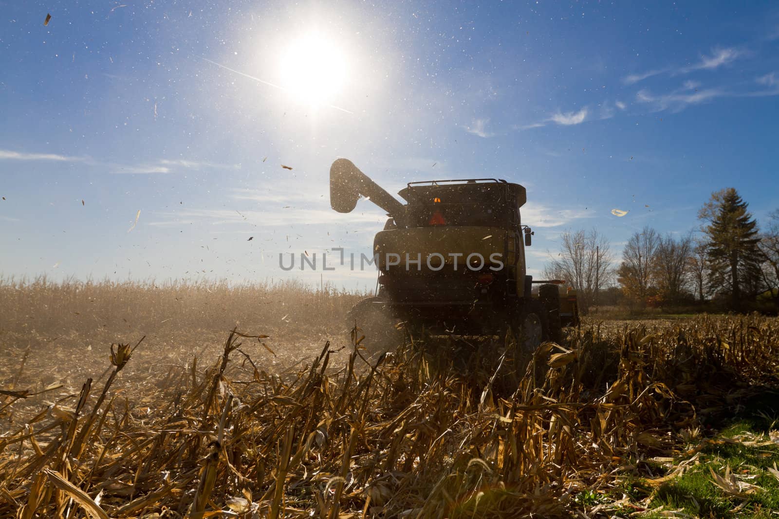 Taking harvesting corn machine raises your allergies, period.