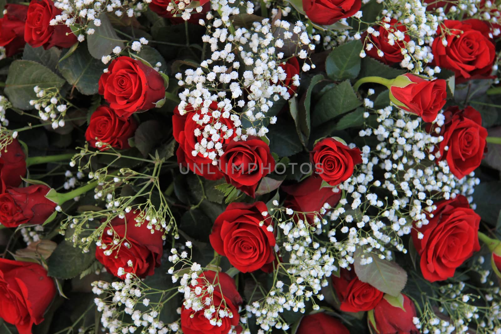 red rose valentine's bouquet by studioportosabbia