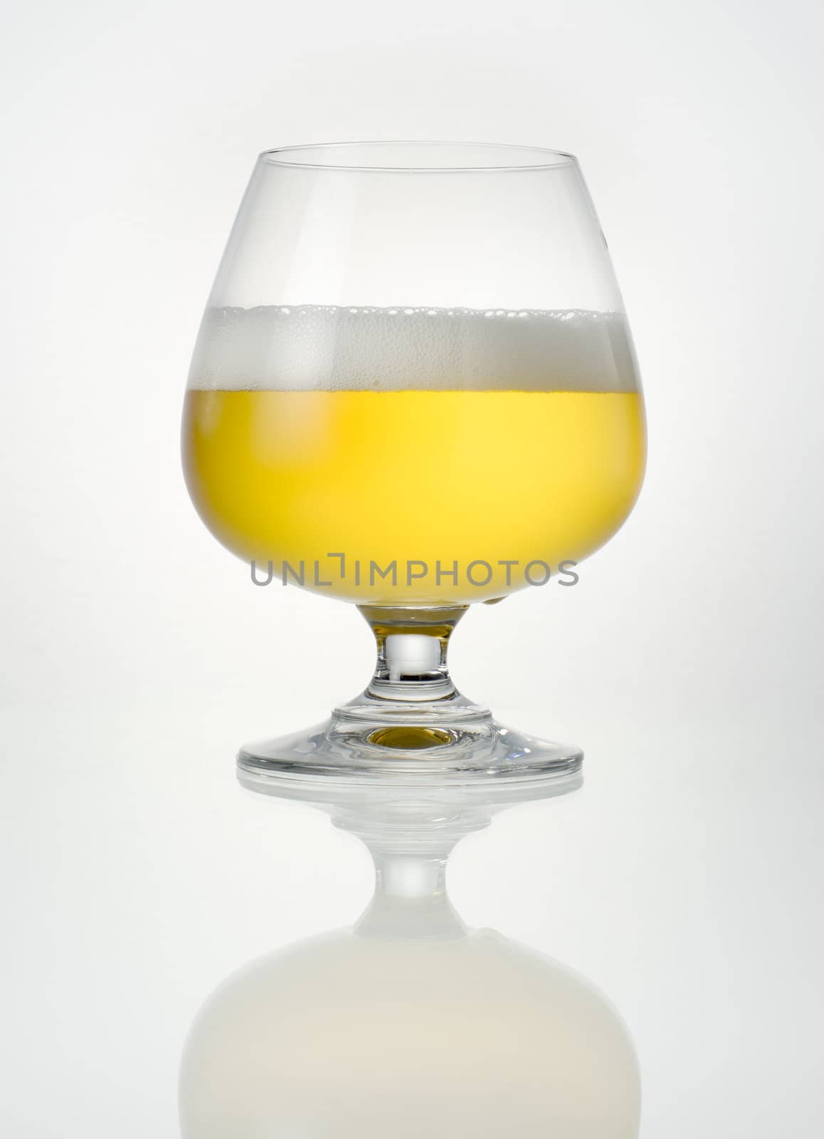 Beer in glass with reflection on a white background