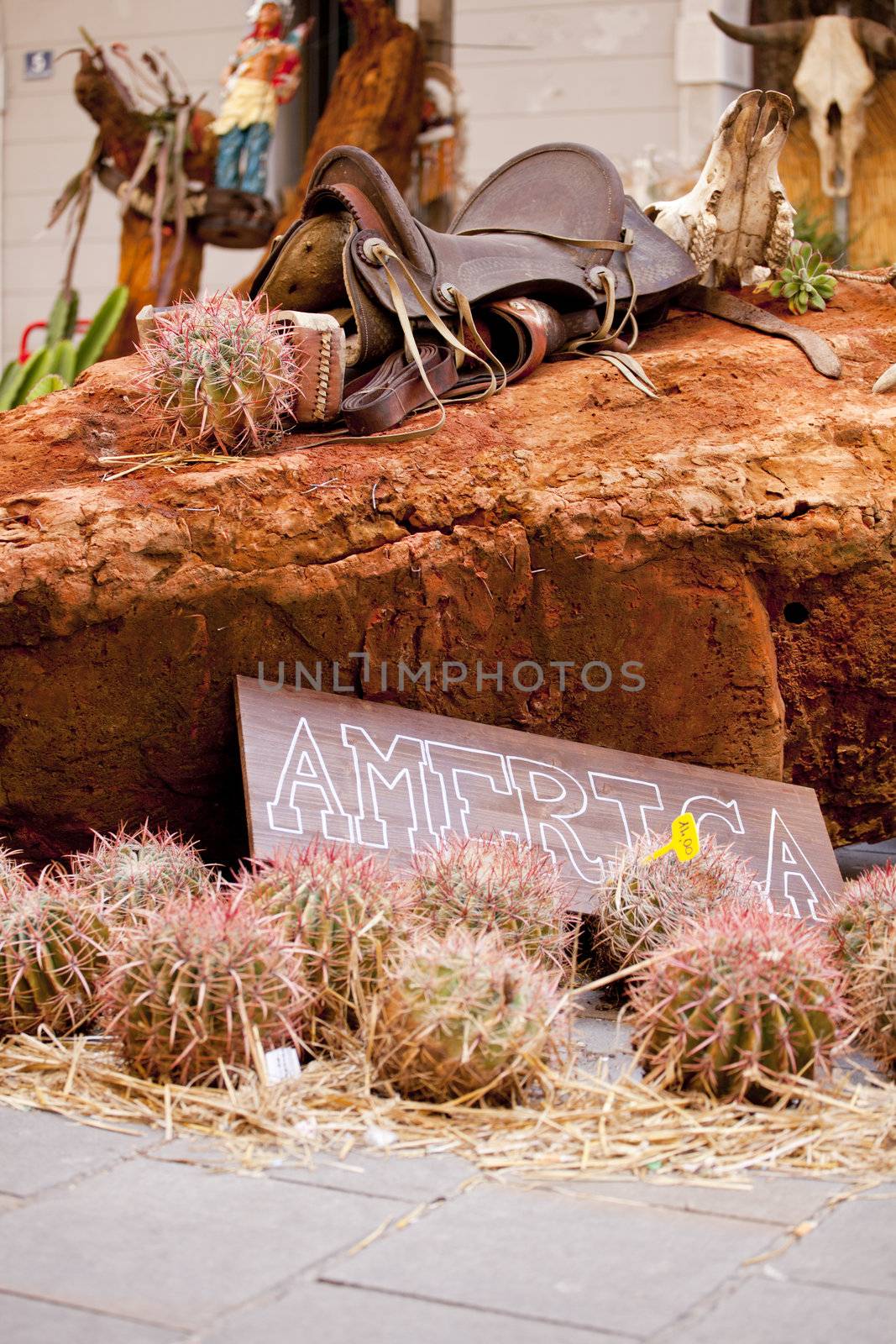 Saddle and cactus on red rock