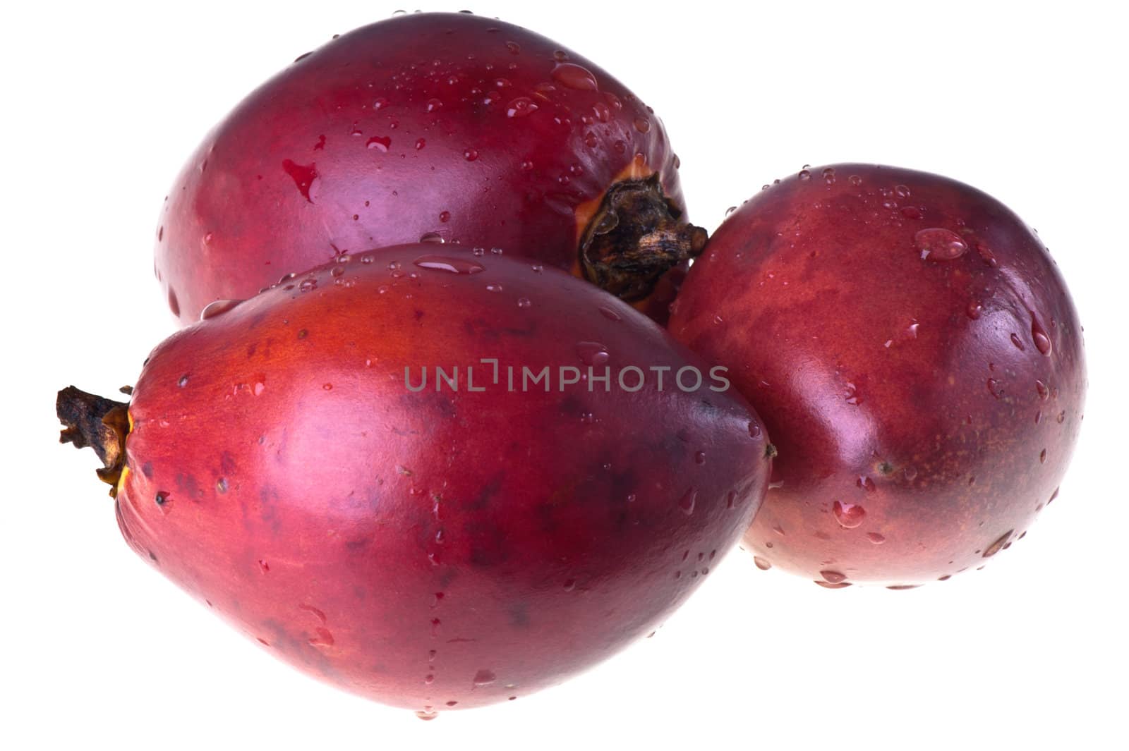Tamarillo, or tomate de árbol on a white background
