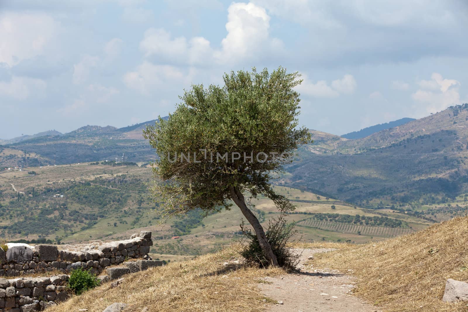 Ruins in ancient city of Pergamon, Turkey 