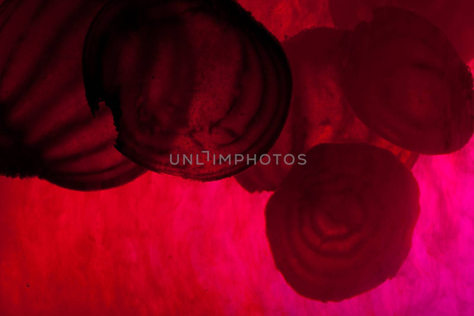 sliced raw beet